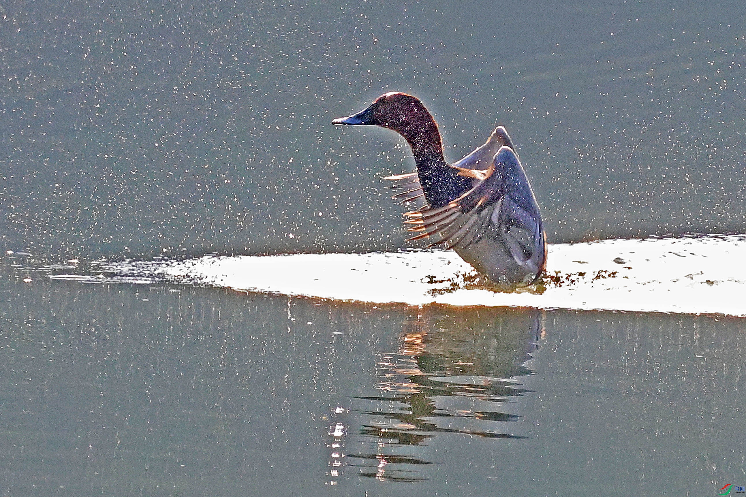 2G9A8357.JPG