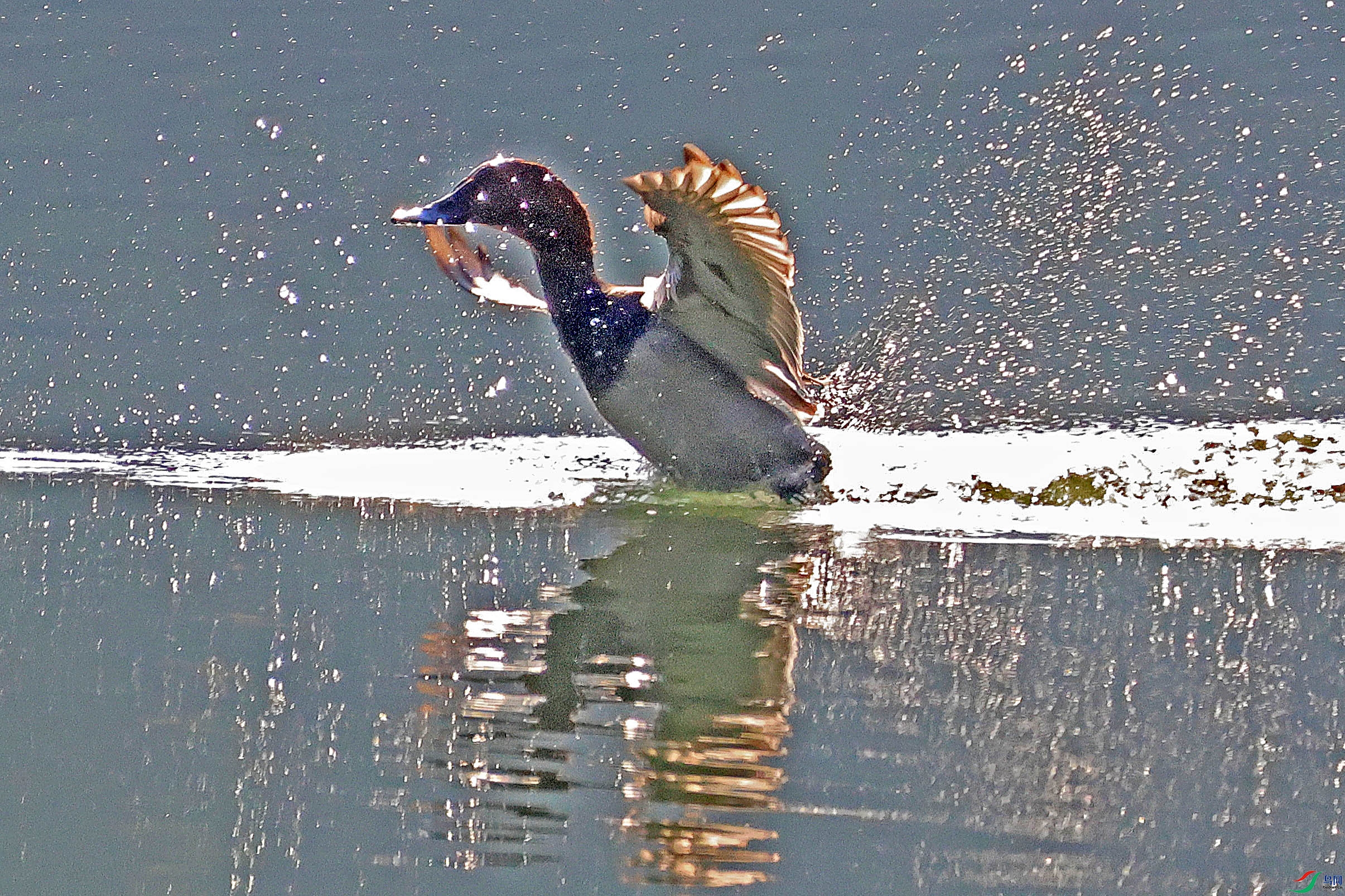 2G9A8356.JPG