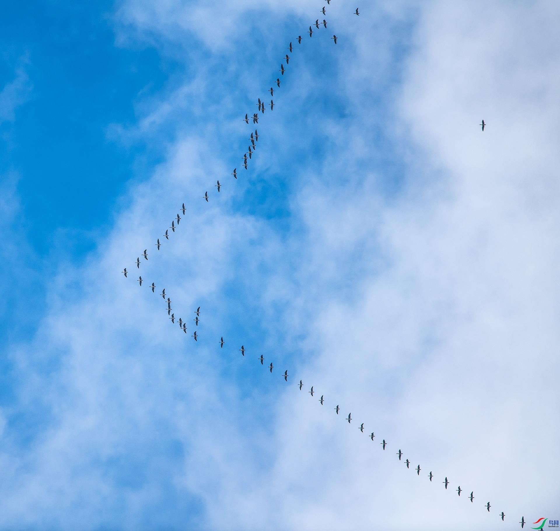 DSC_5542.jpg