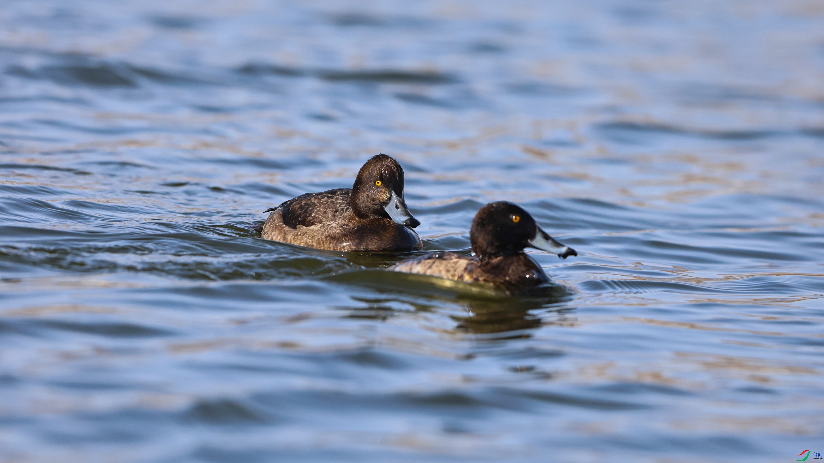 7X5A0699 ����4444.jpg