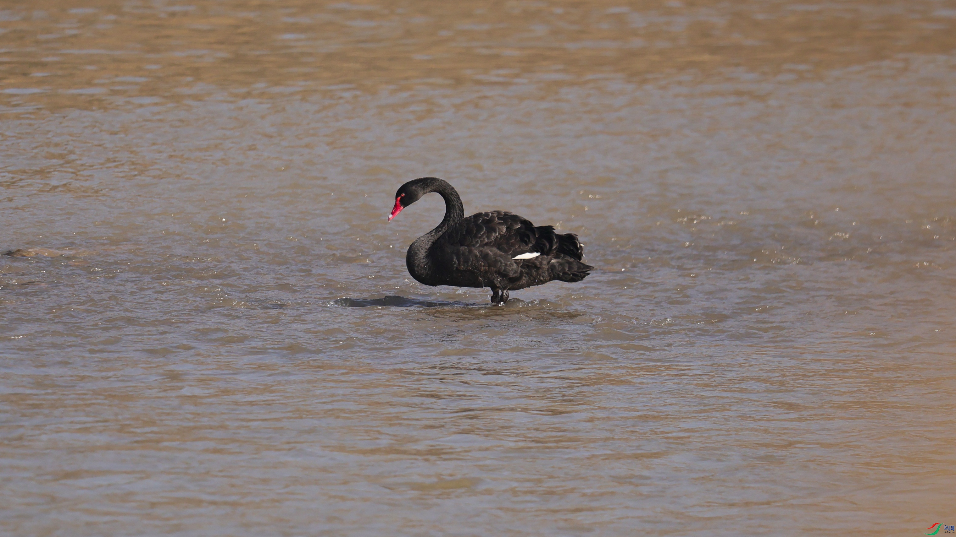 7X5A9642 ����4444.jpg