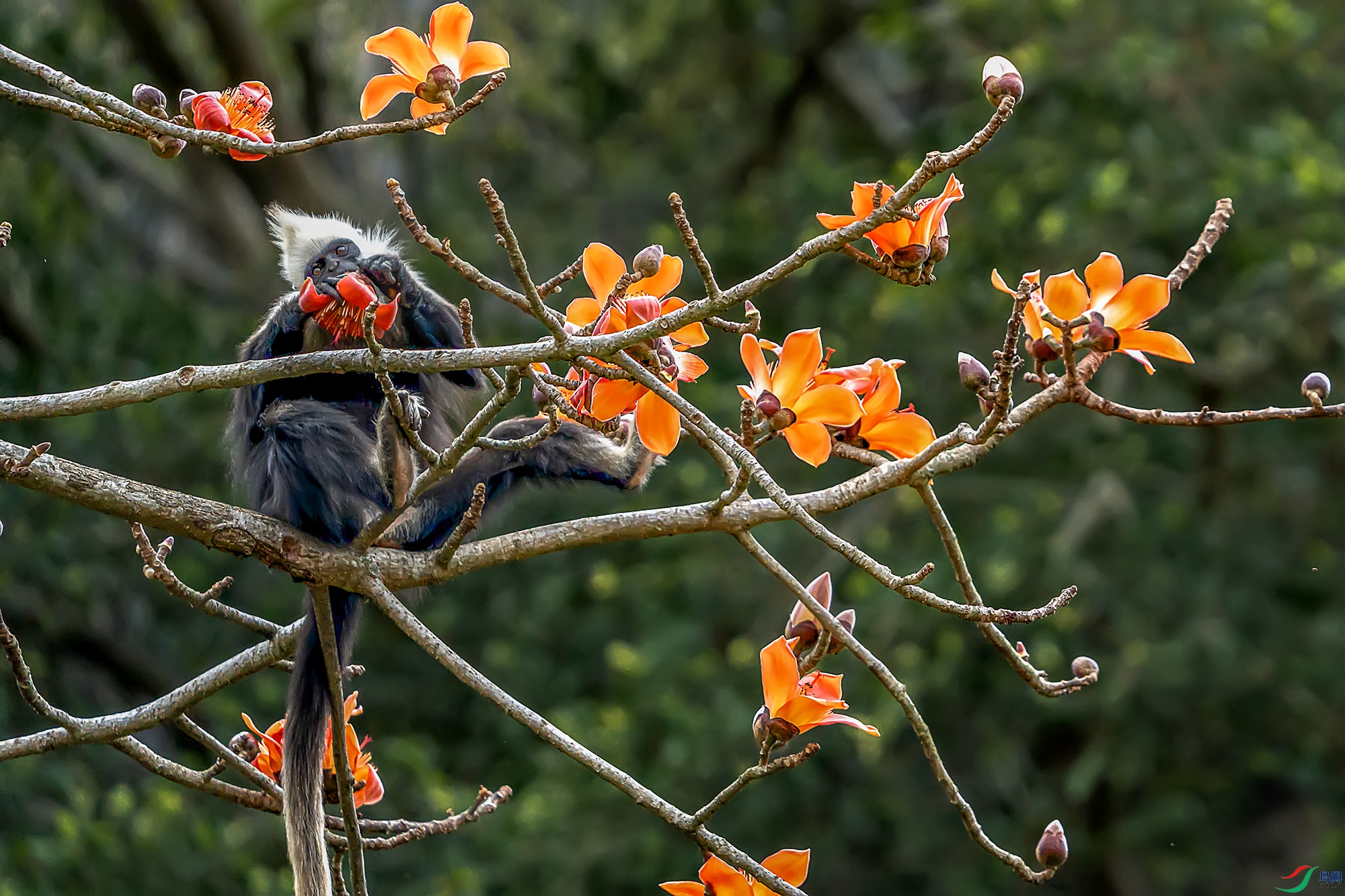 DSC05107aaa ����abb222.jpg