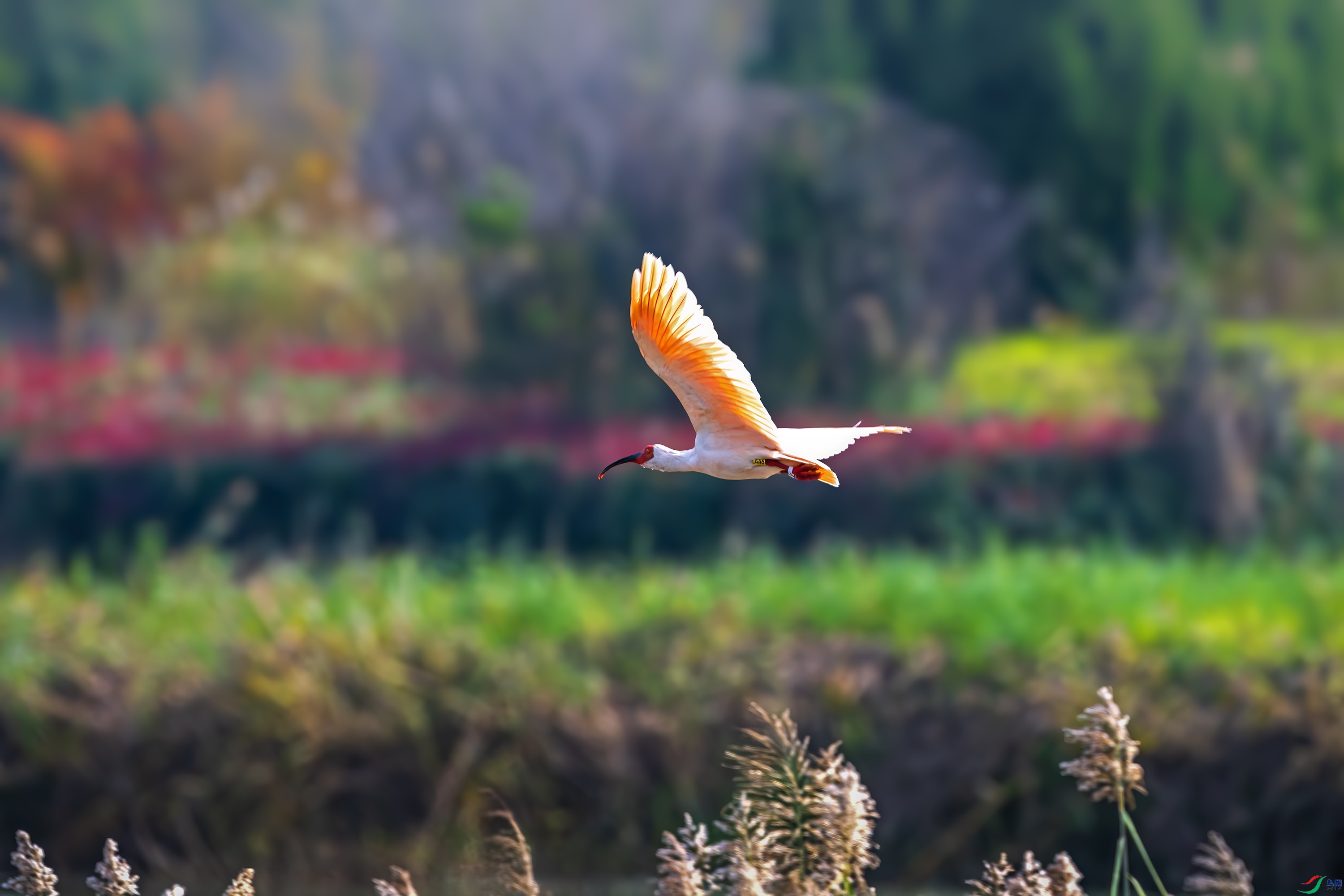 DSC_0191.jpg