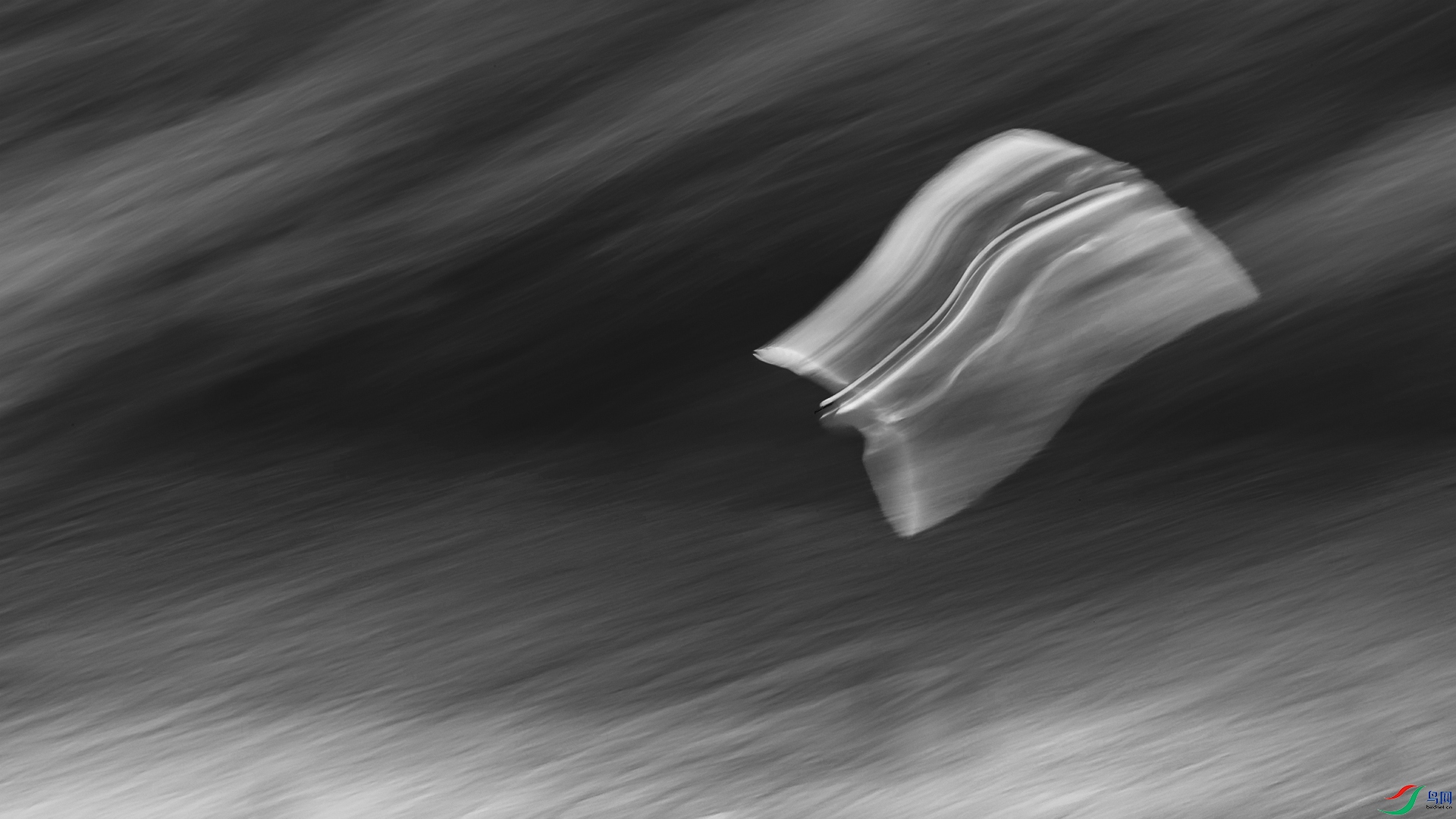 0U3A6265-111.jpg