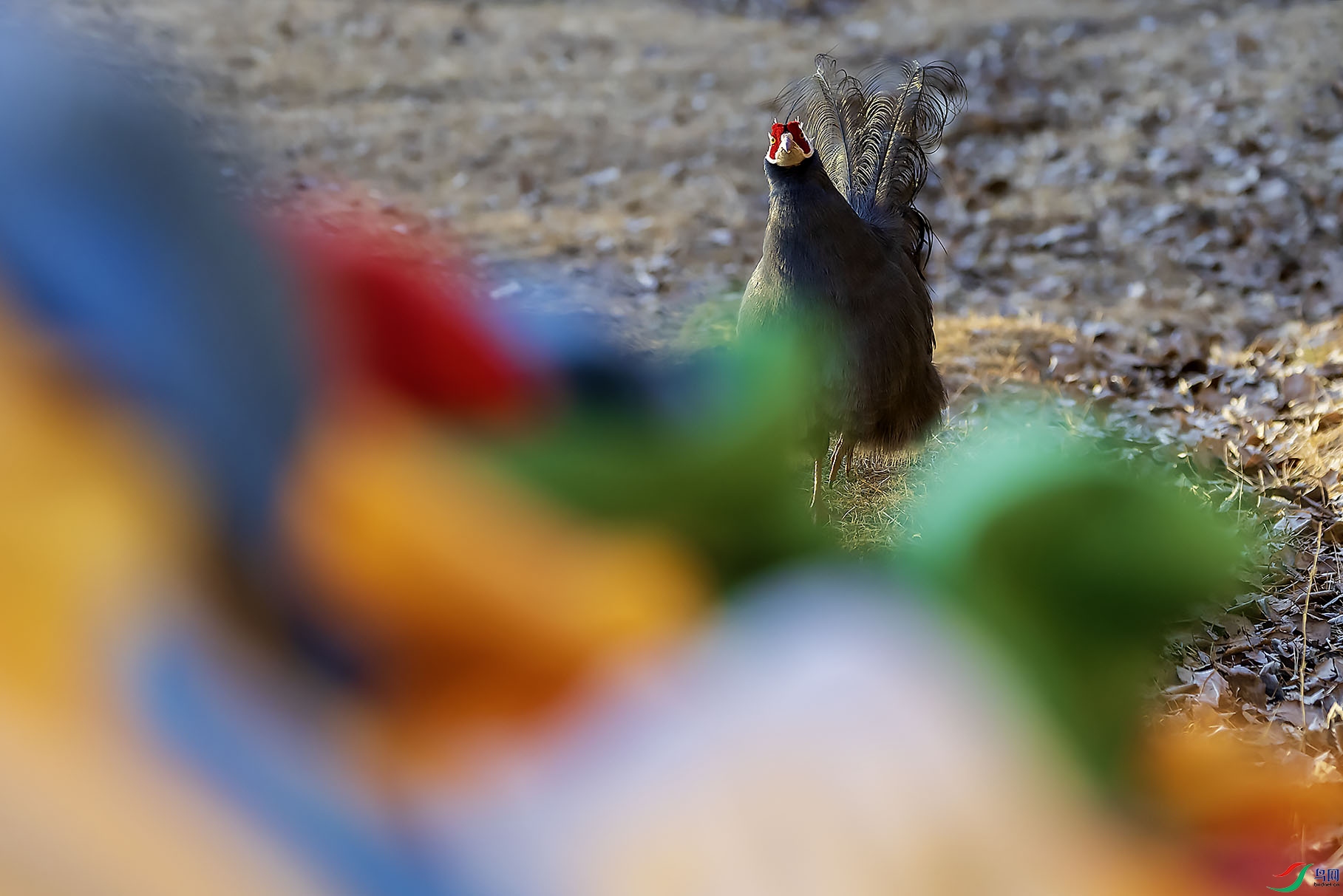 ���ӳ����