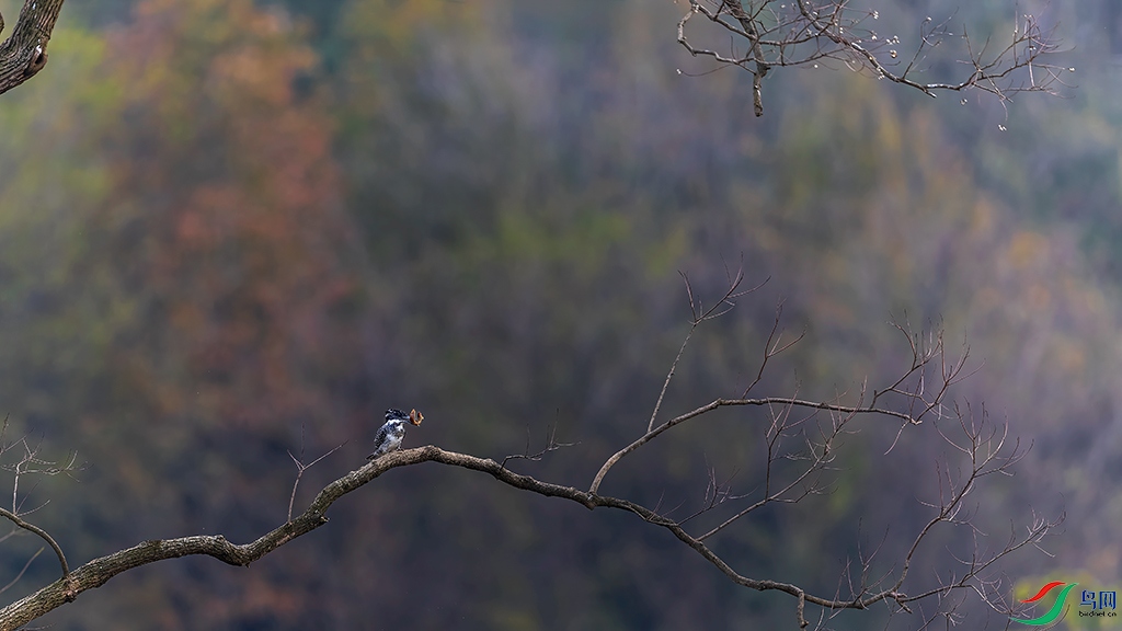 hnxyR3241122 (2431)_DxO.jpg