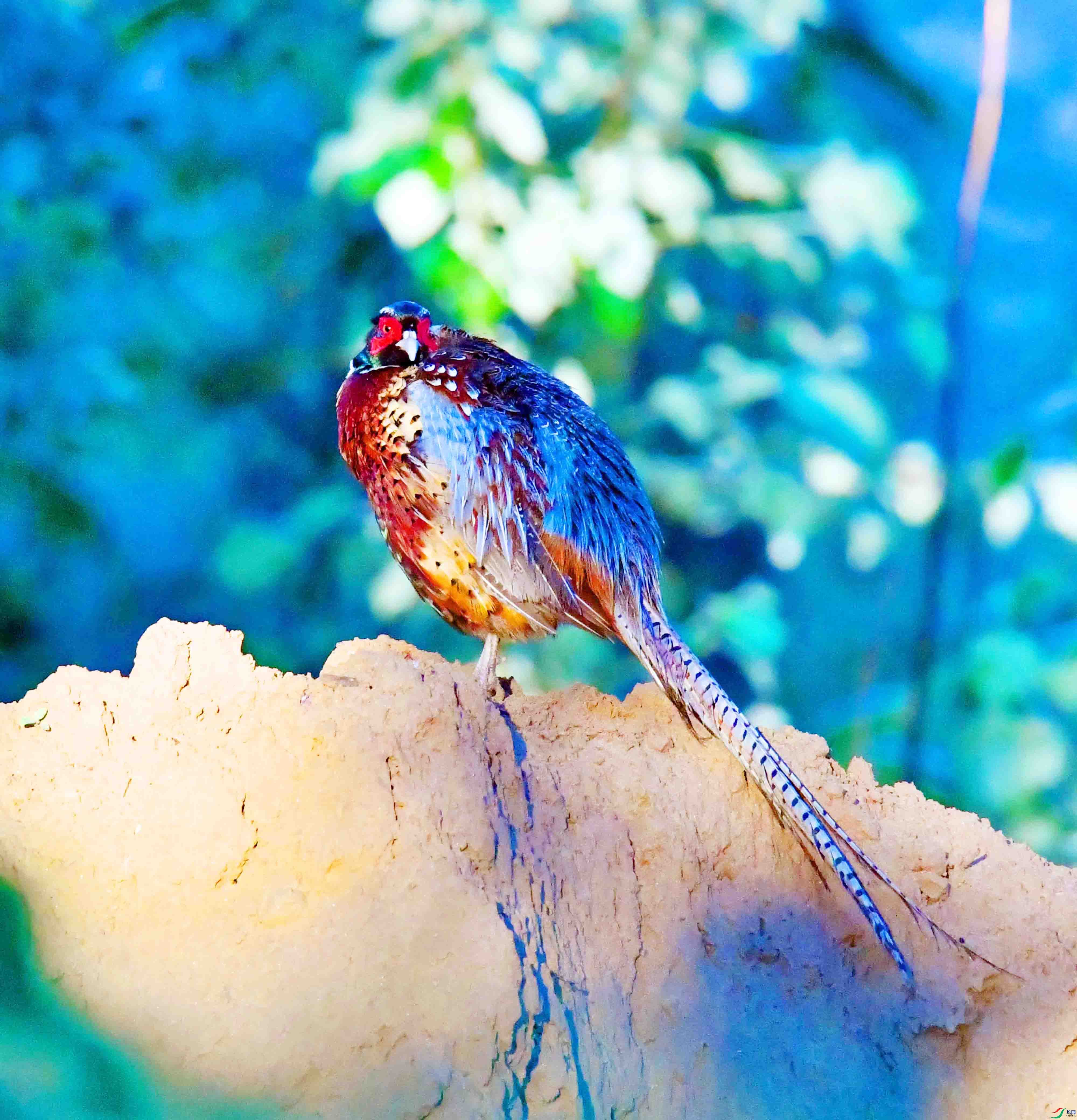 DSC_2789.JPG