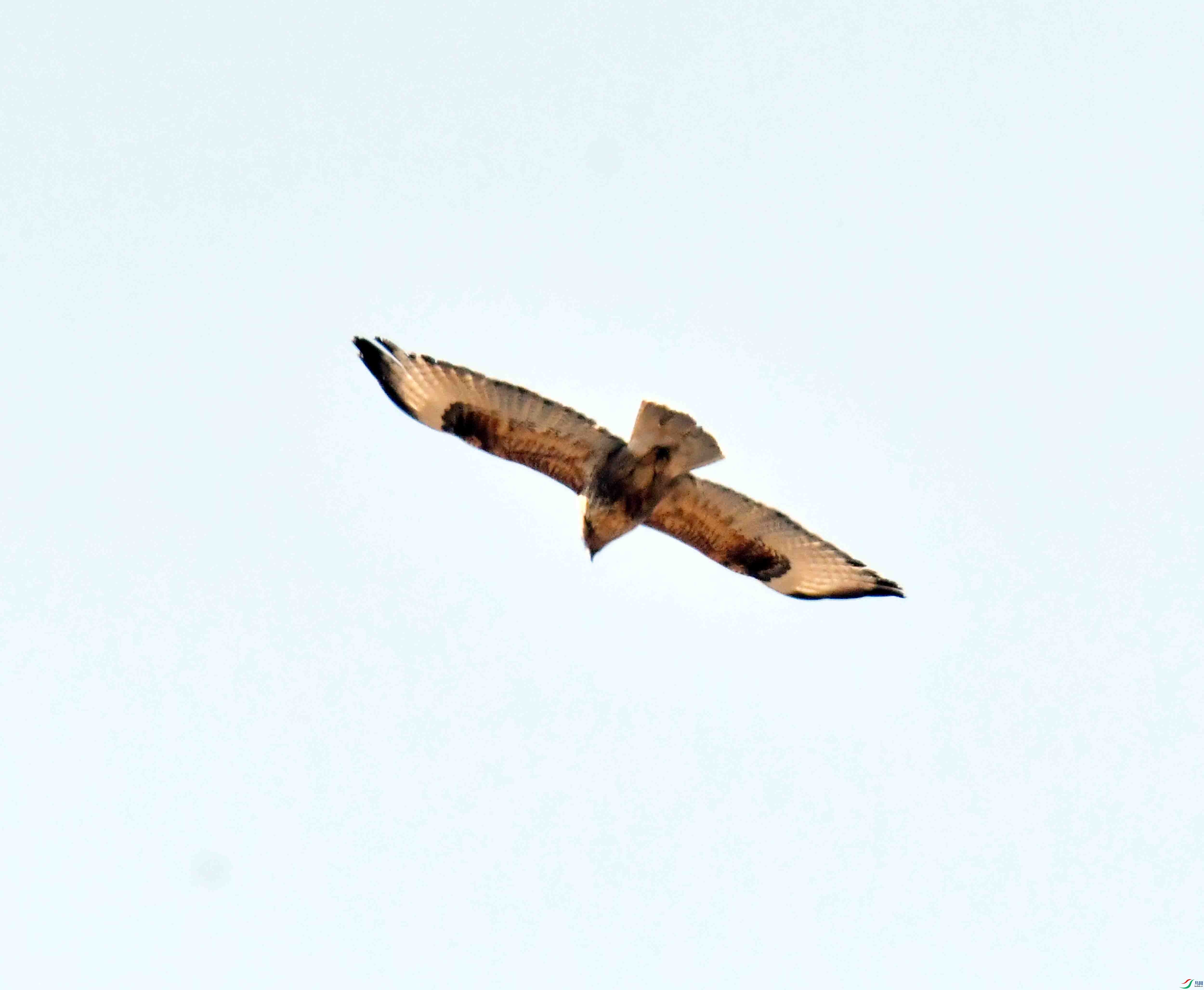 DSC_1307.JPG