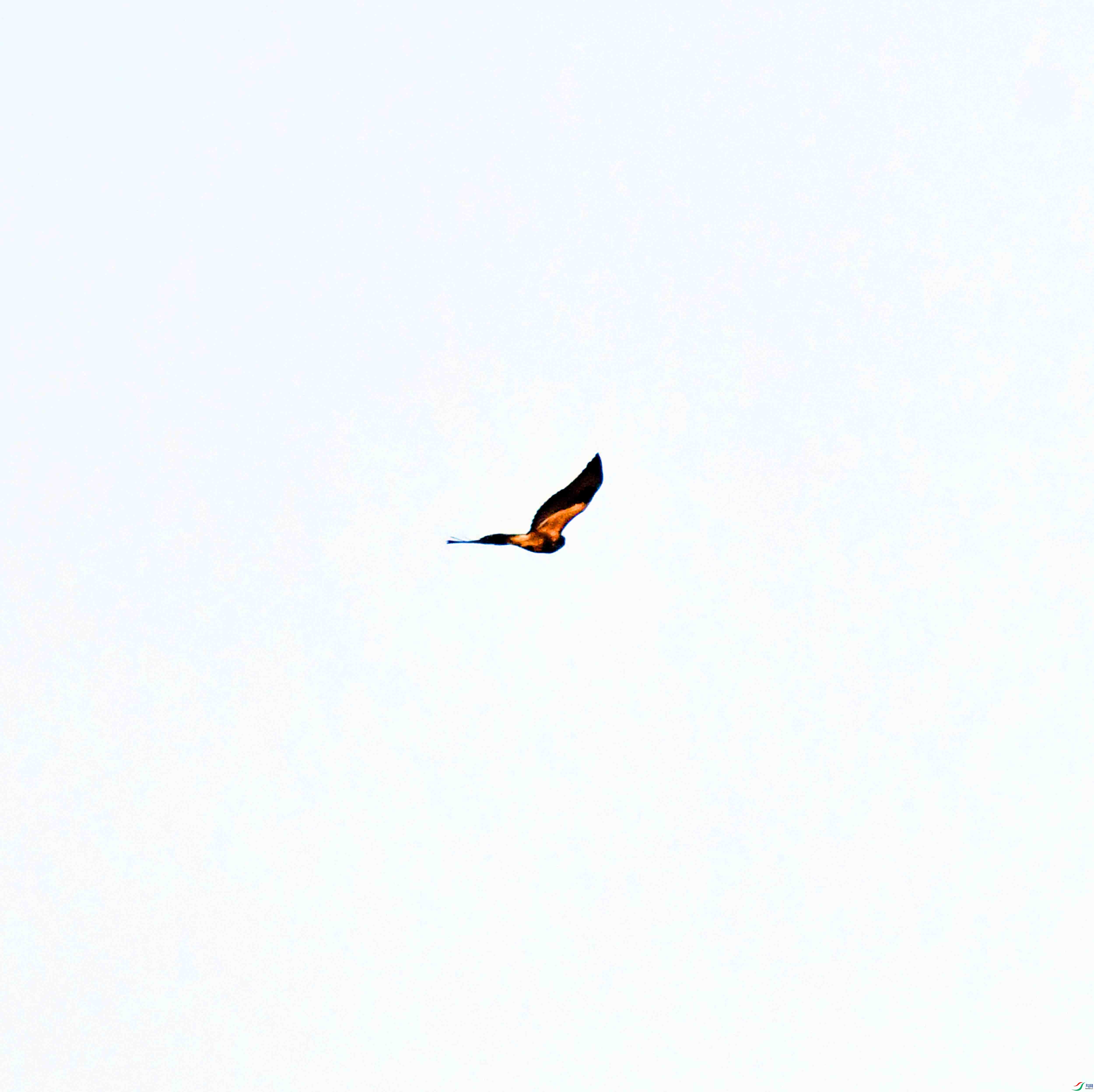 DSC_5379.JPG