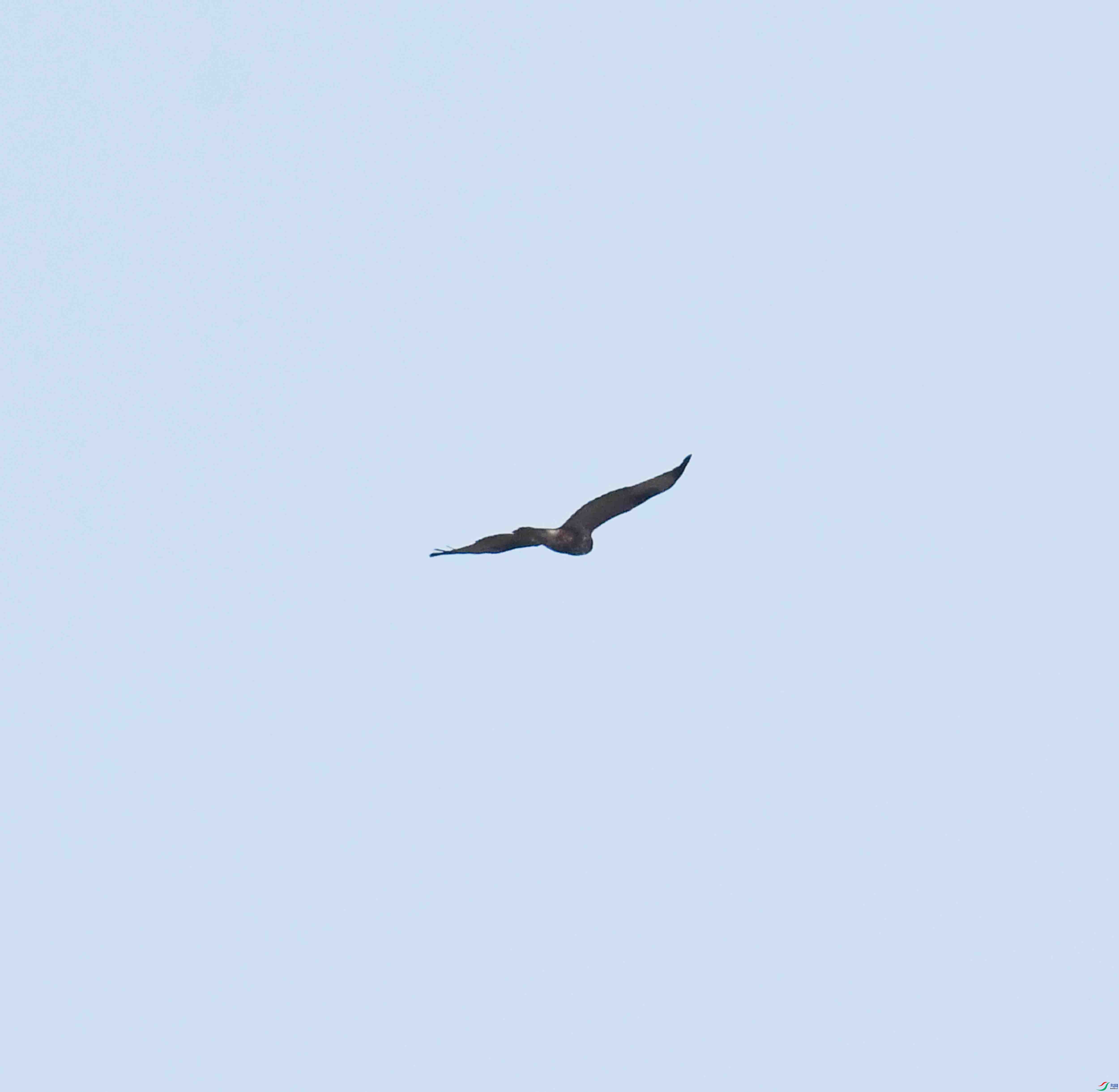 DSC_5370.JPG