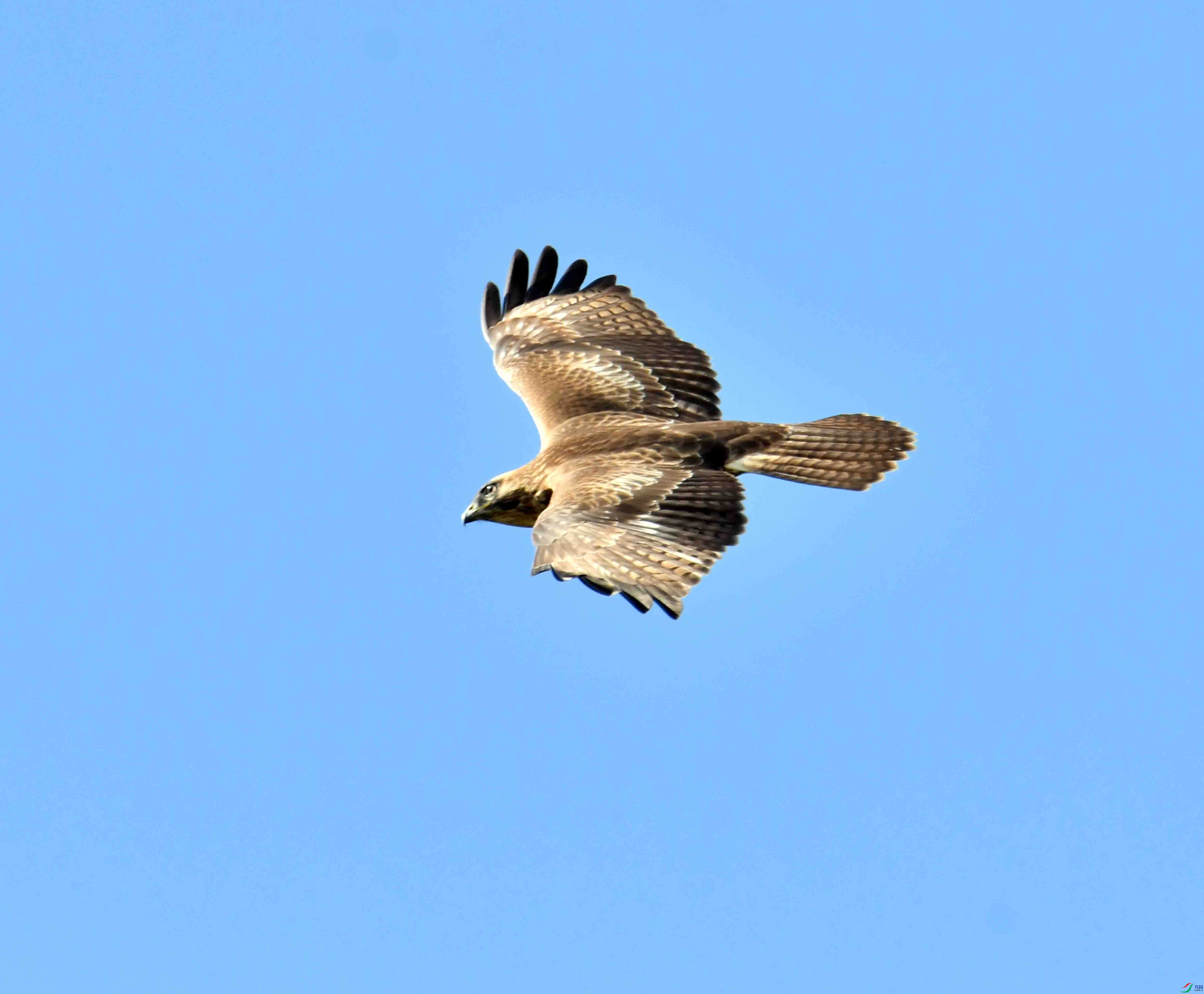 DSC_9202.JPG
