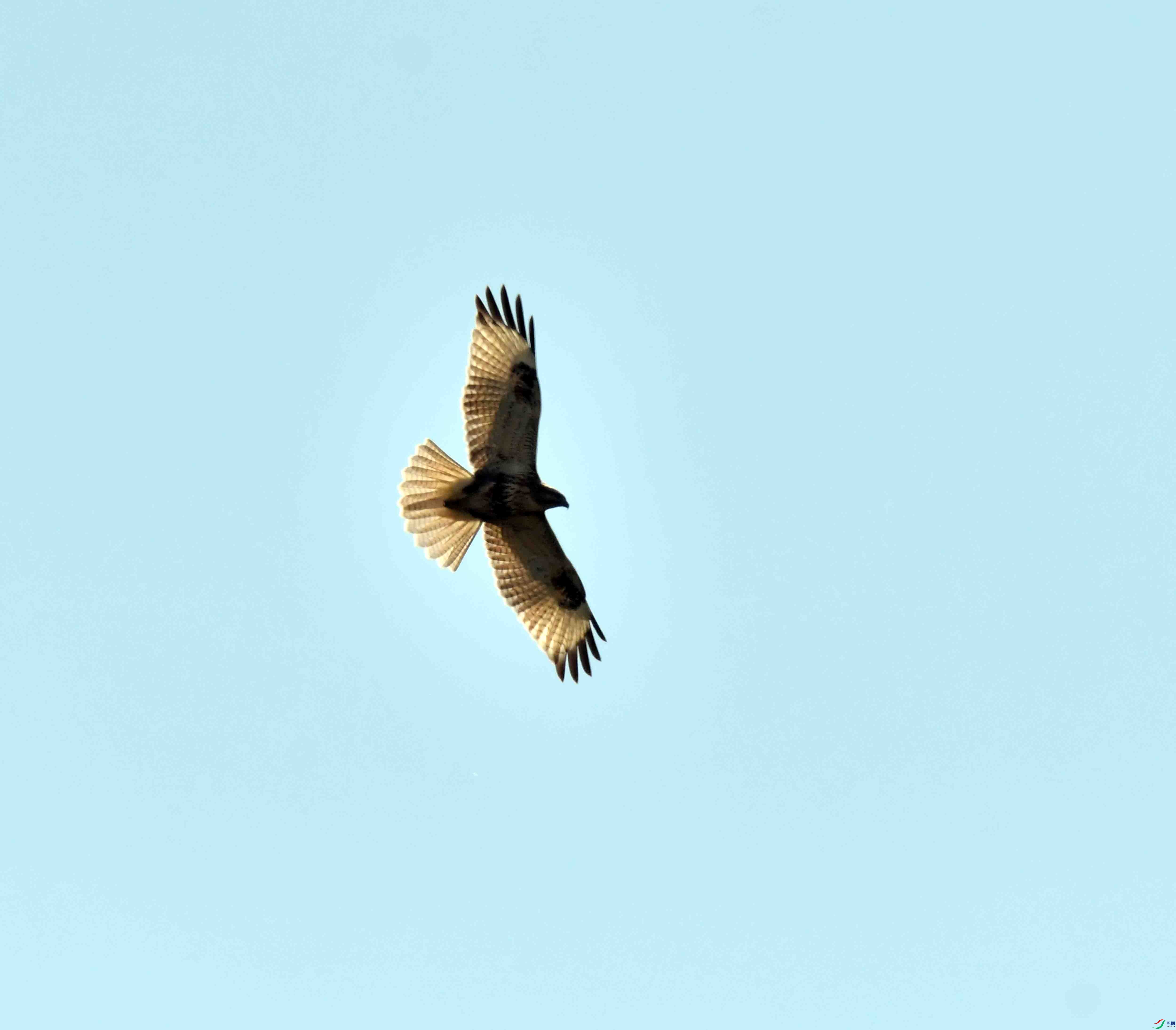 DSC_9214.JPG