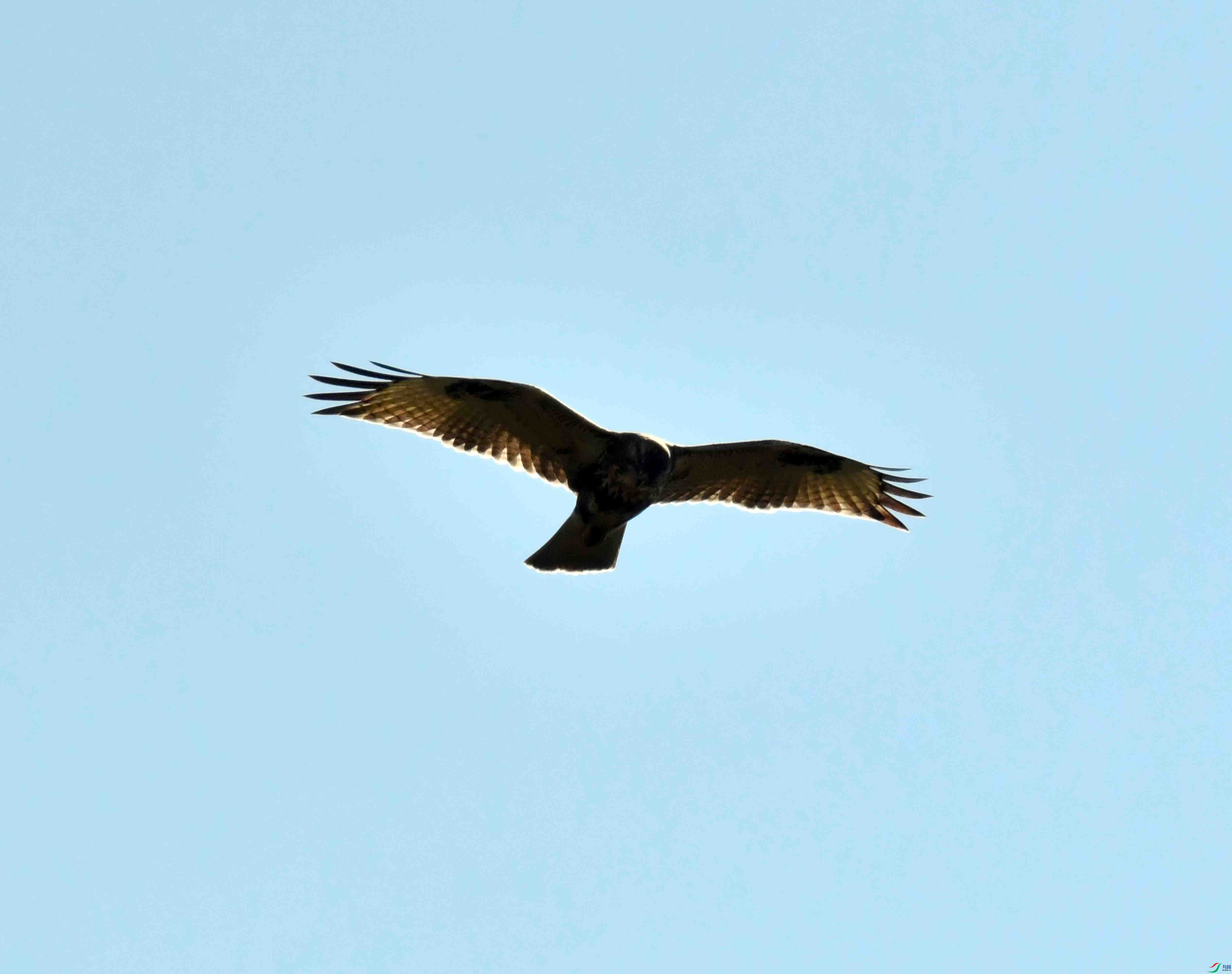 DSC_9278.JPG