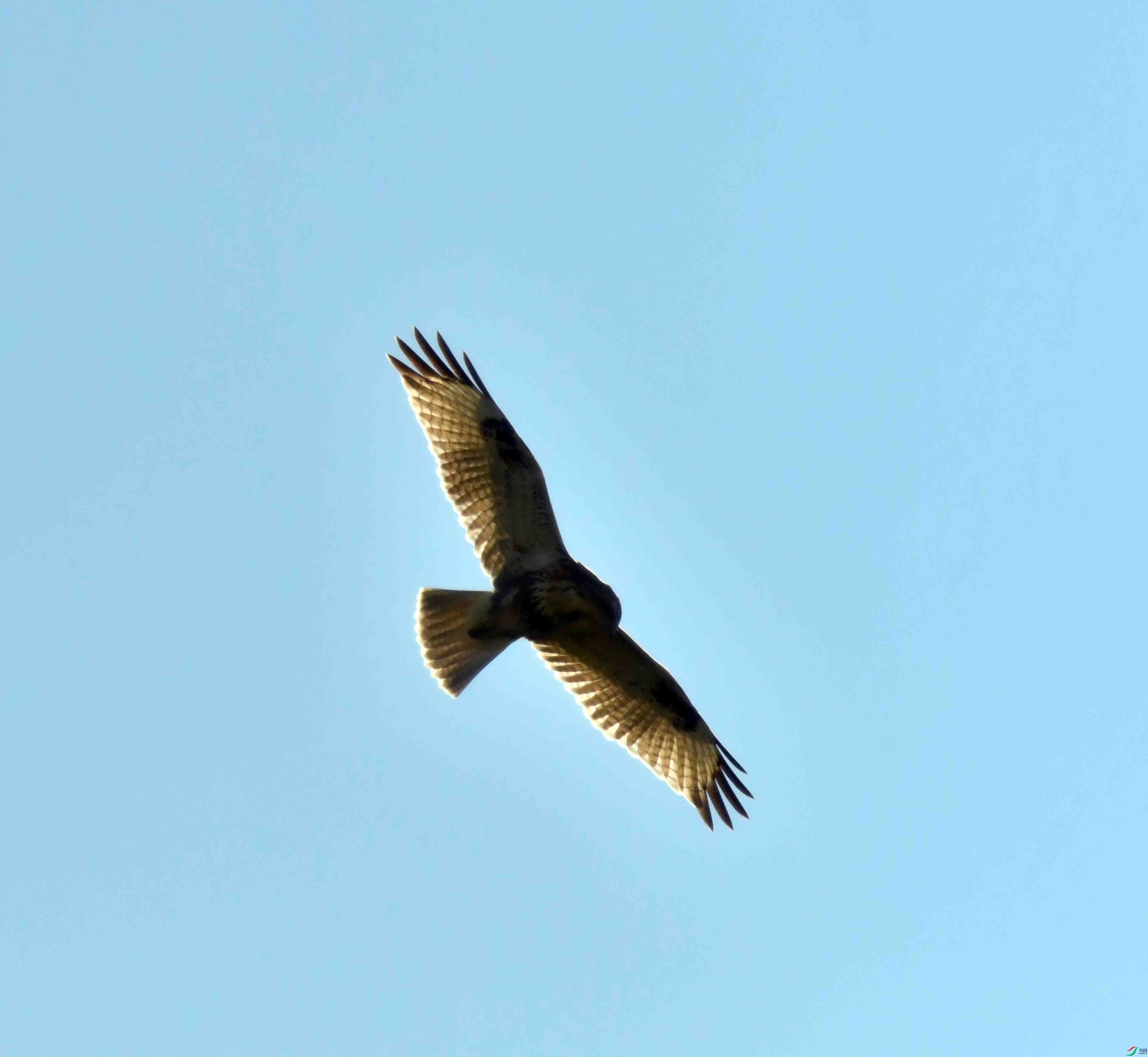 DSC_9280.JPG
