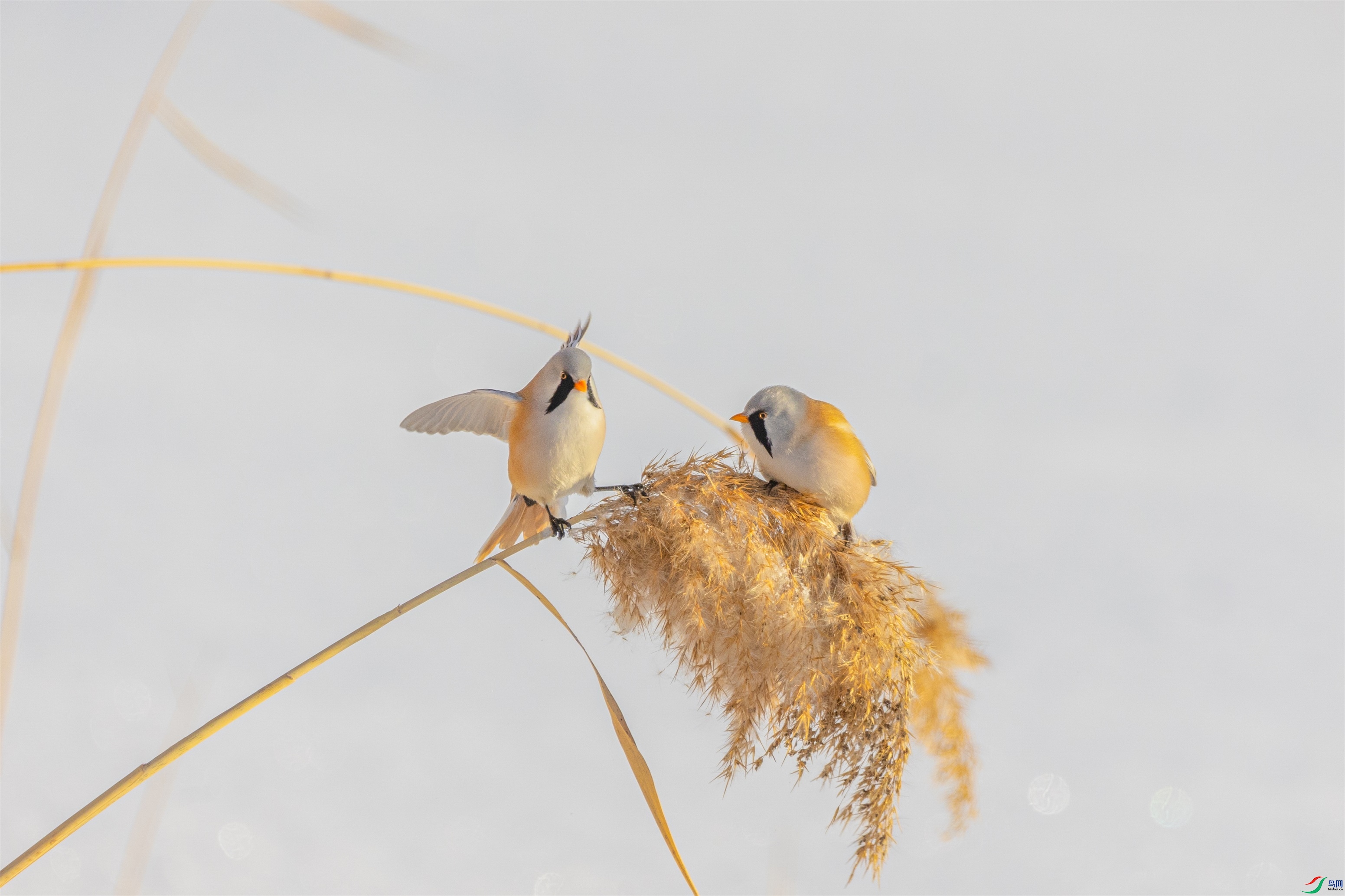 1K3A3770 ����1.jpg