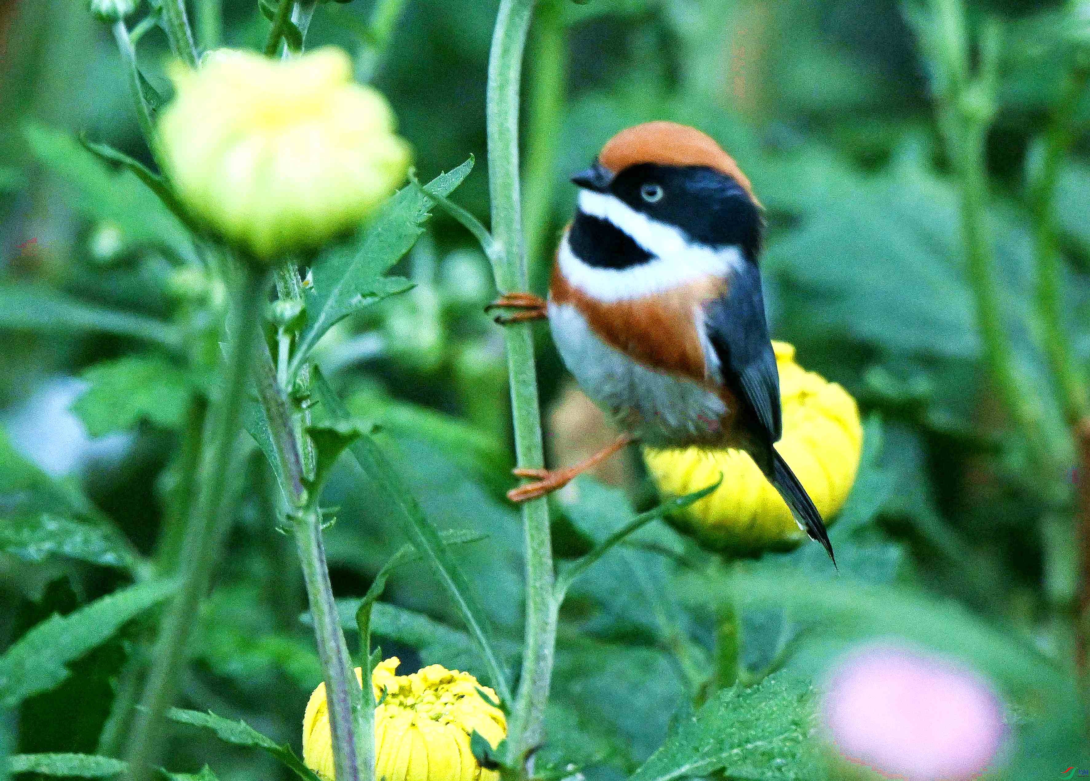DSC_3359.jpg