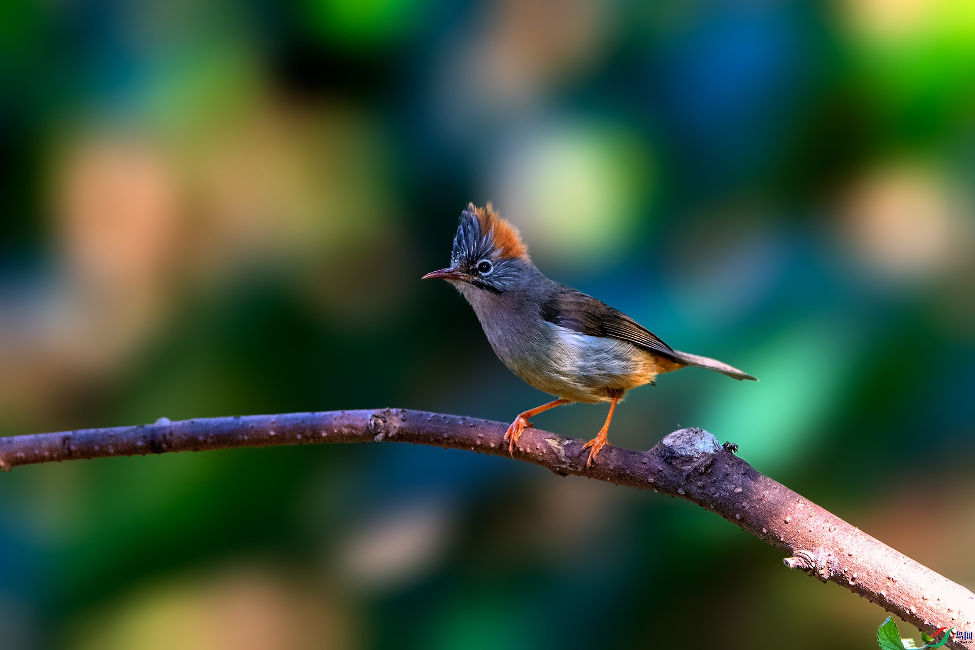 _AUU4153���η���(24.2.17).jpg