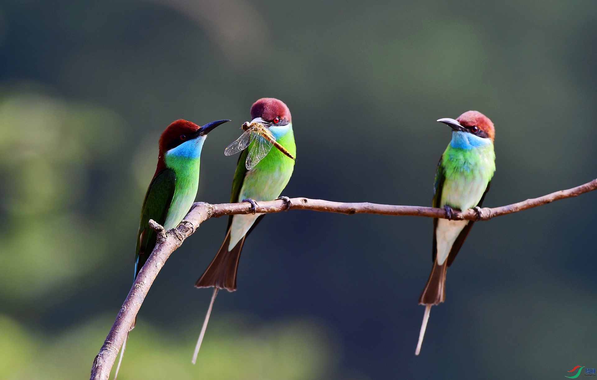 _D5D4584.jpg