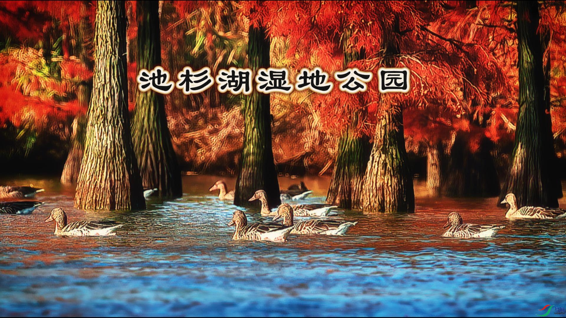 ��ɼ��ʪ�ع�԰