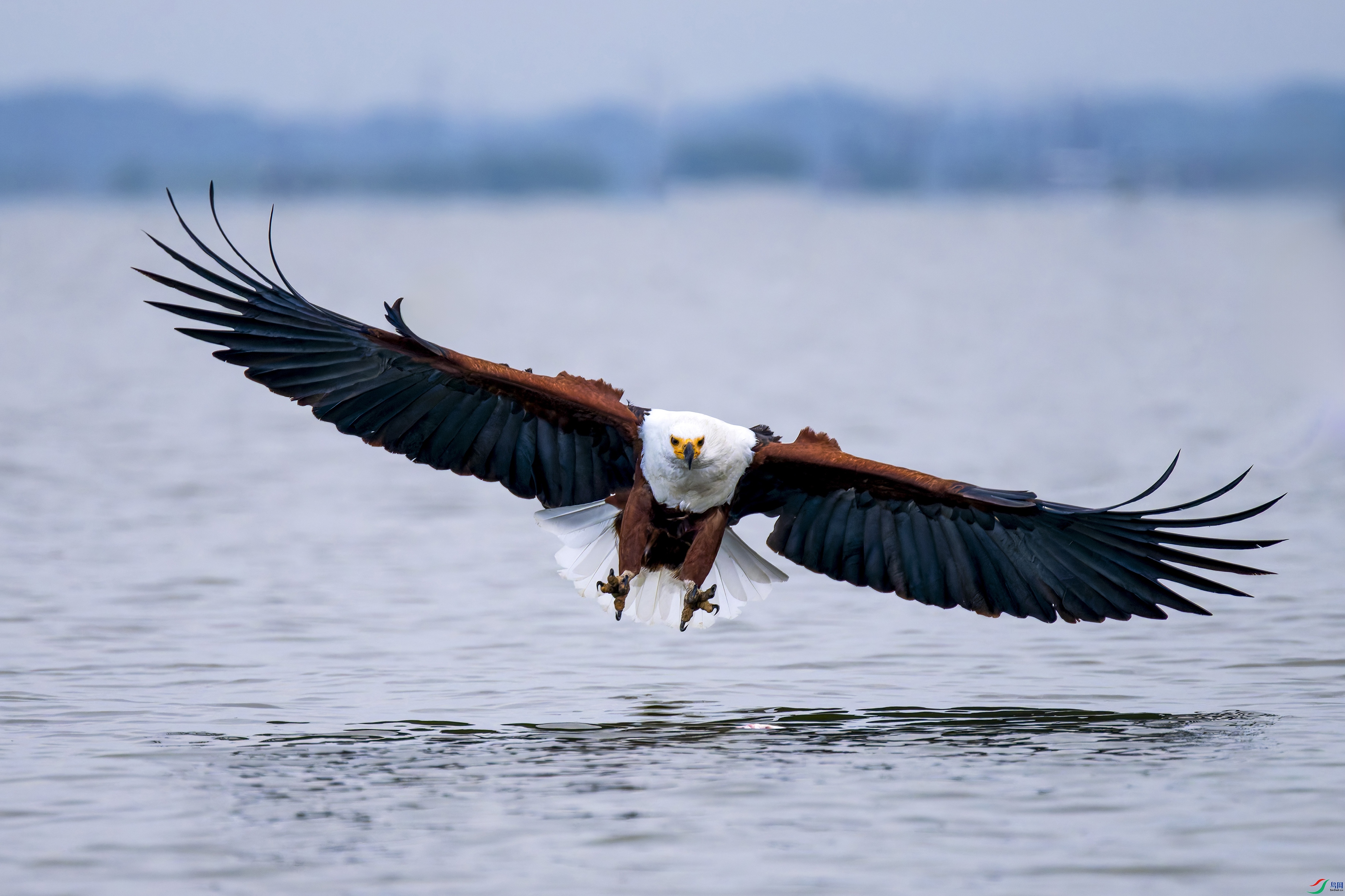 20240710-_DSC4916-NEF.jpg-1.jpg