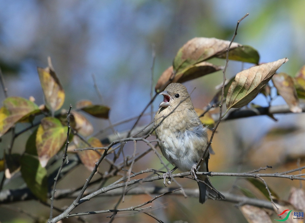 DSC20241204140.jpg