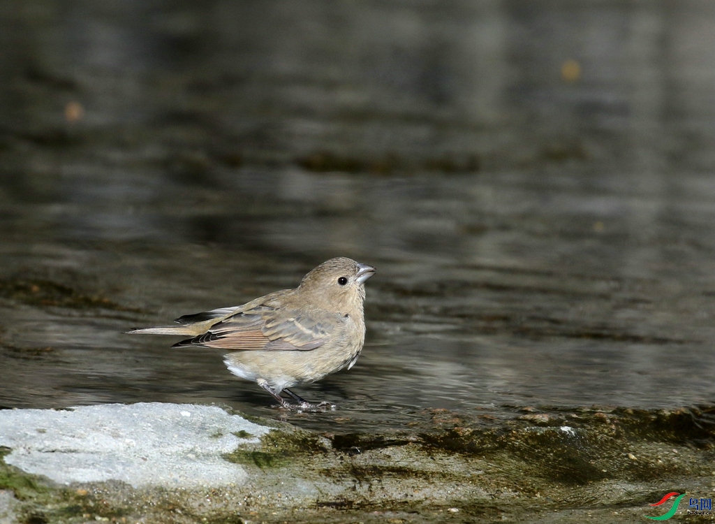 DSC20241204082.jpg