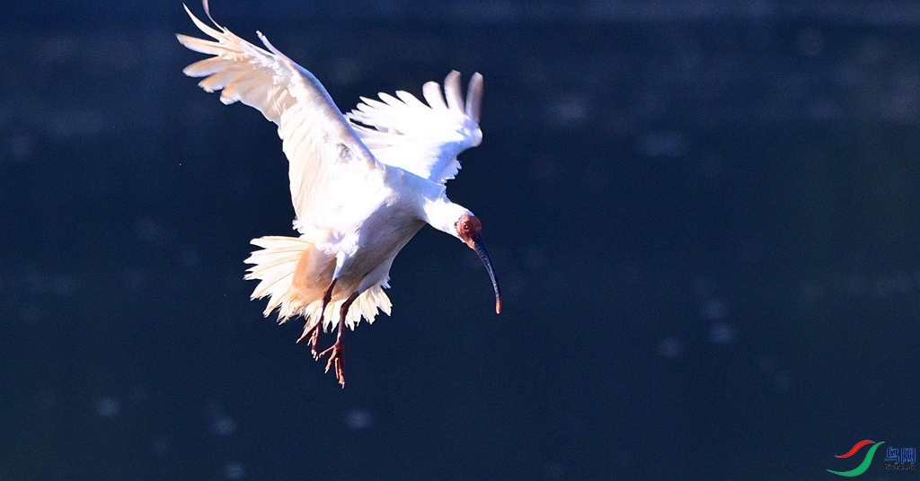 DSC_4548.JPG