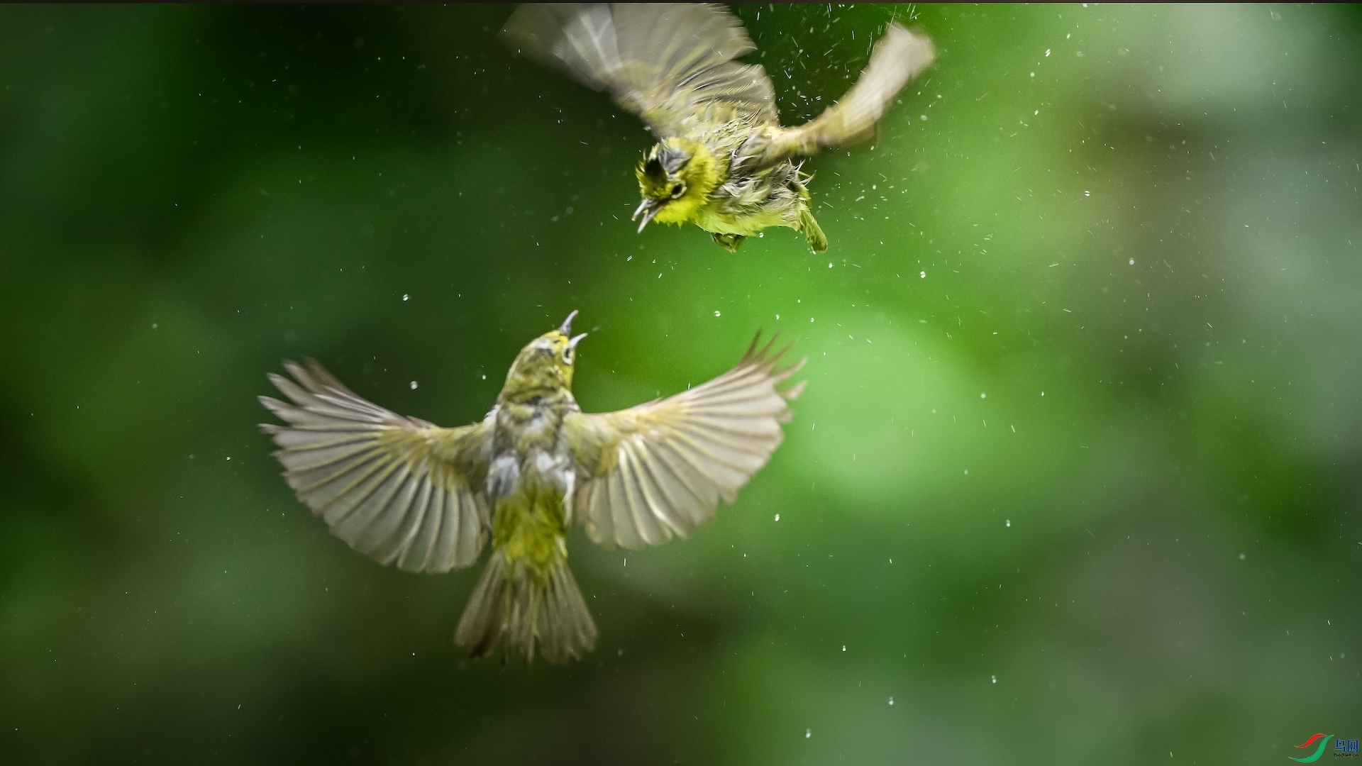 1_XXL0225 ����.jpeg