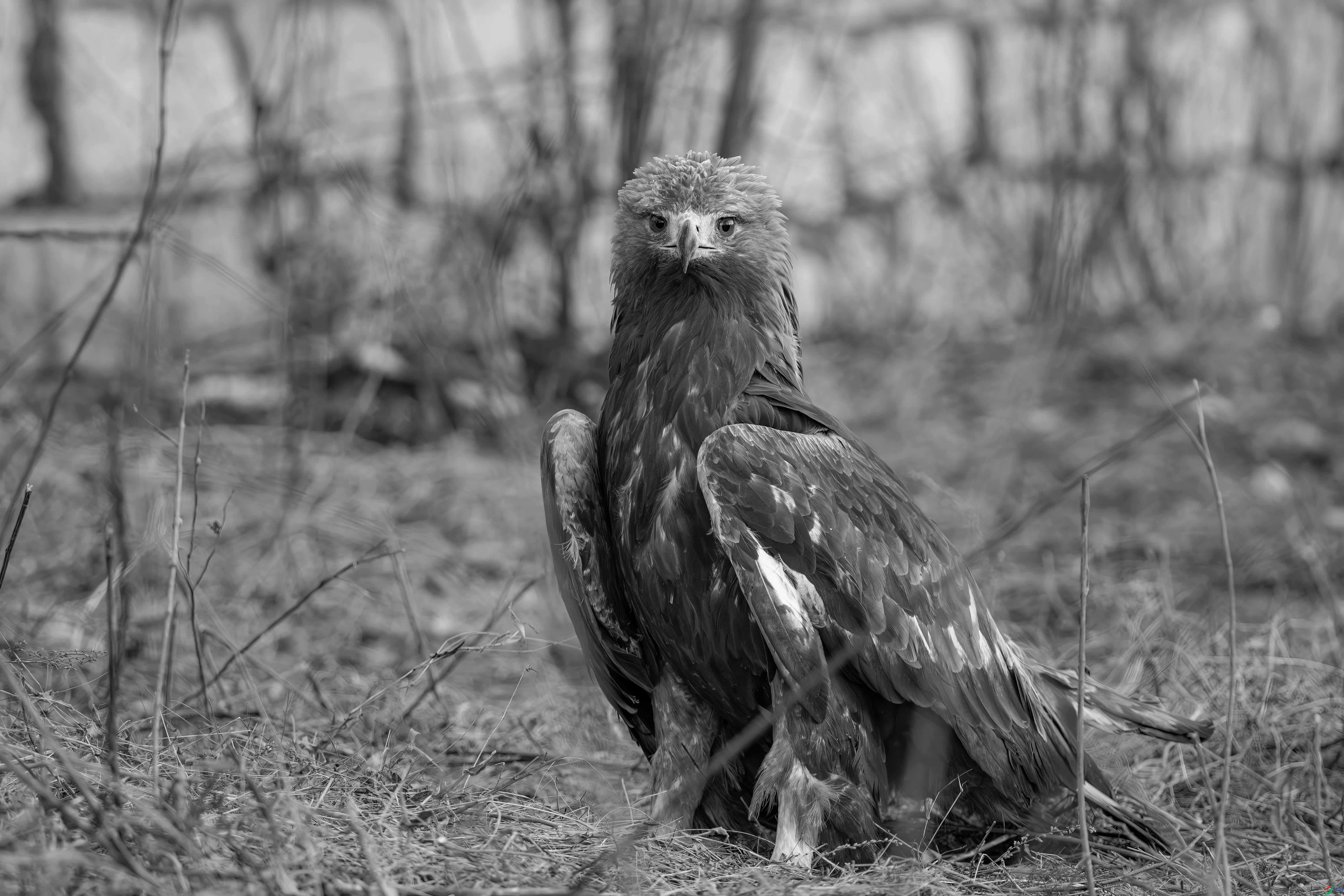 DSC04785 ���� 2.jpg