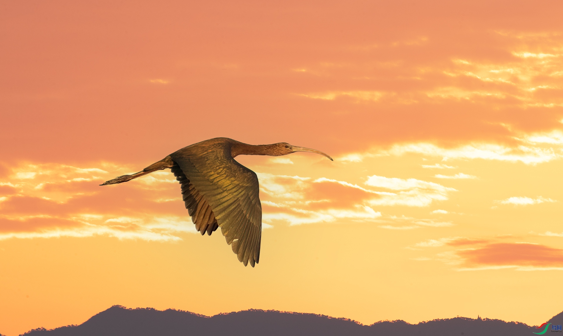 407A6252 ����-Sh----0011  .jpg