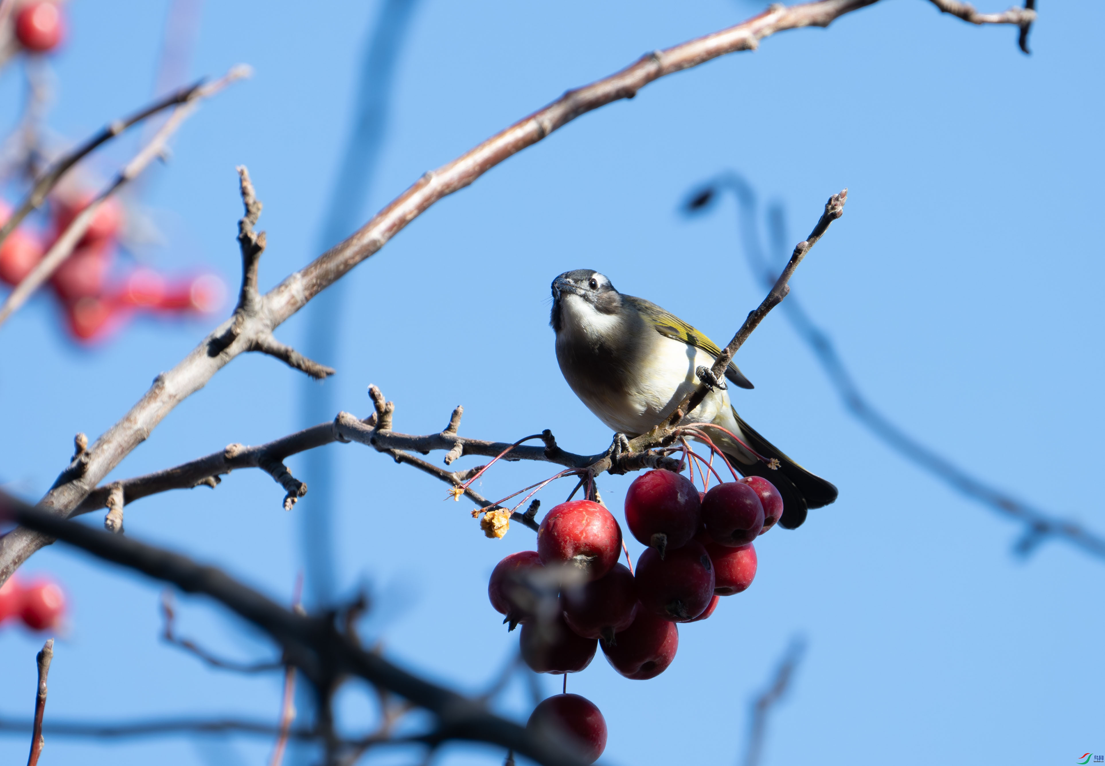 DSC_7366.jpg