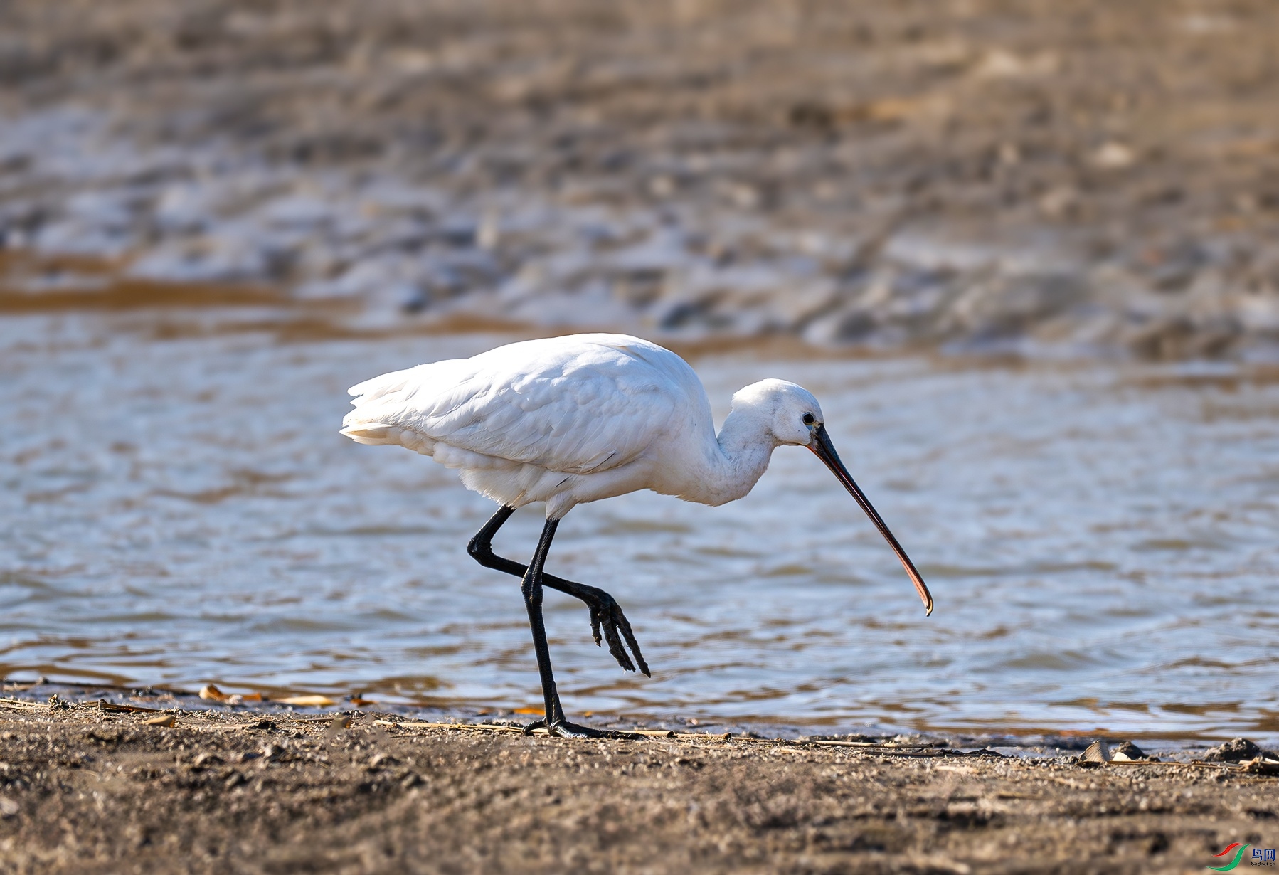 _DSC7352f.jpg