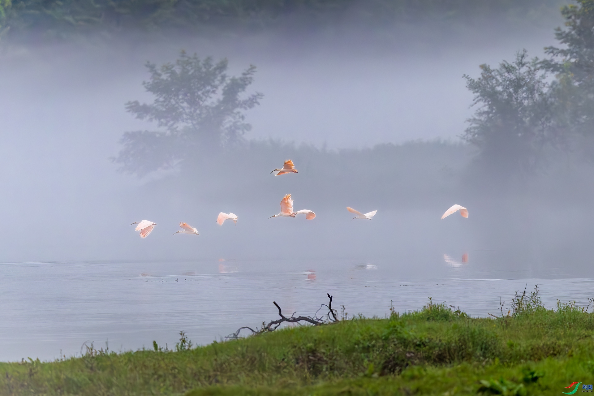 11.28��ϵ5D3��ʦ��Ʒ   ���q�ɶ� ��ף���ٻ��Ա������.jpg