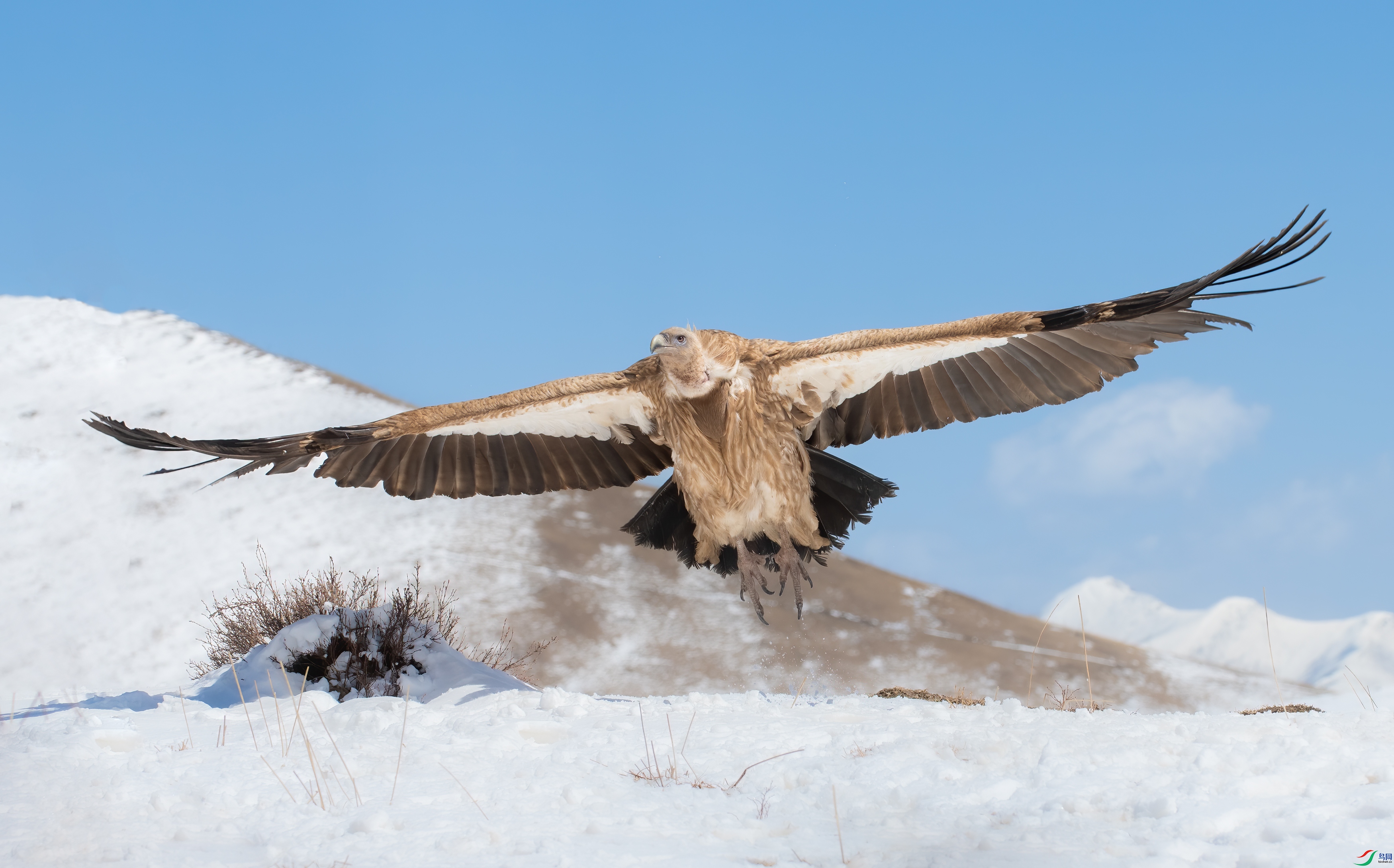 DSC_9324-11�εض���.jpg