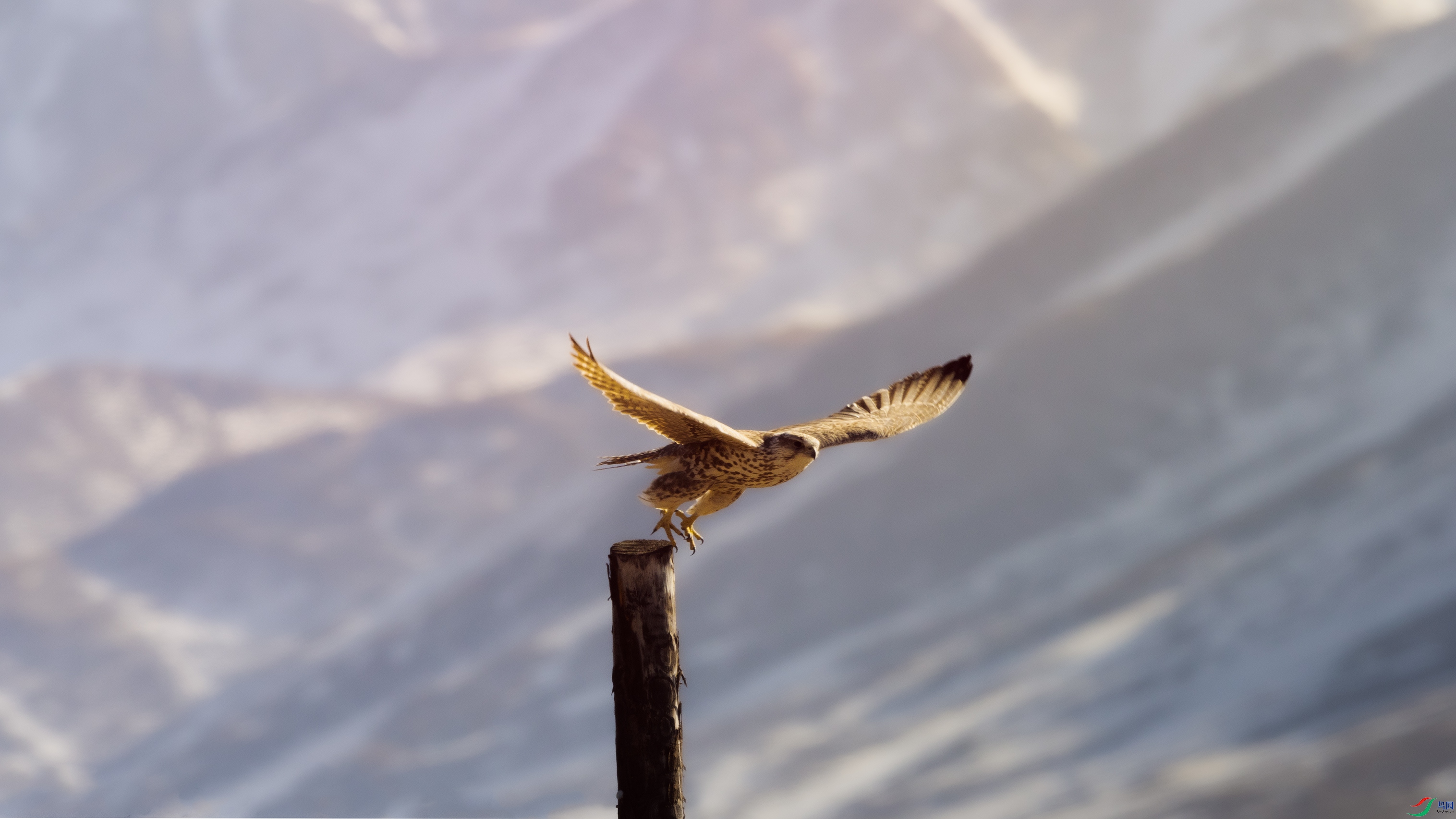 7X5A118344444.jpg
