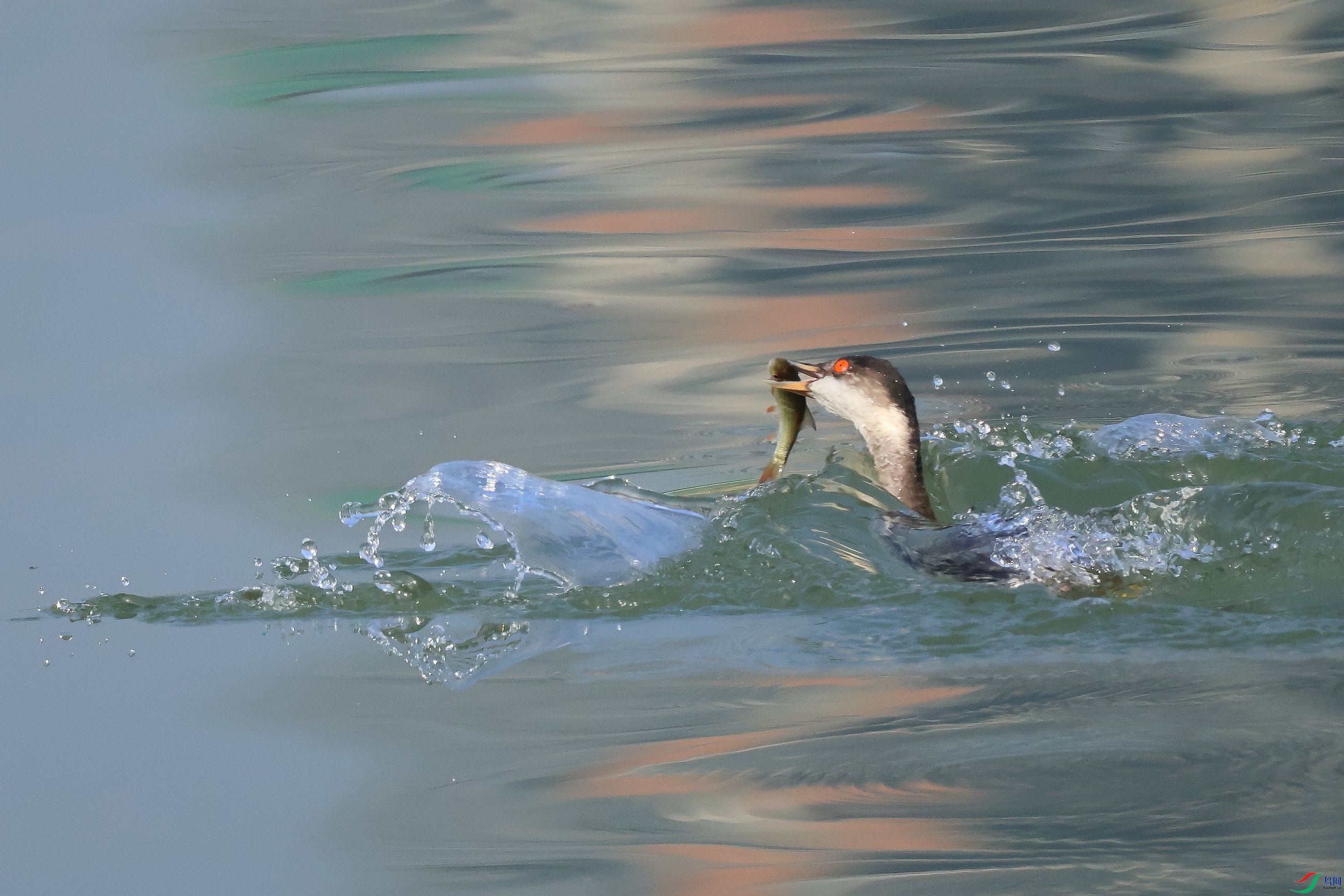 IMG_7169.JPG