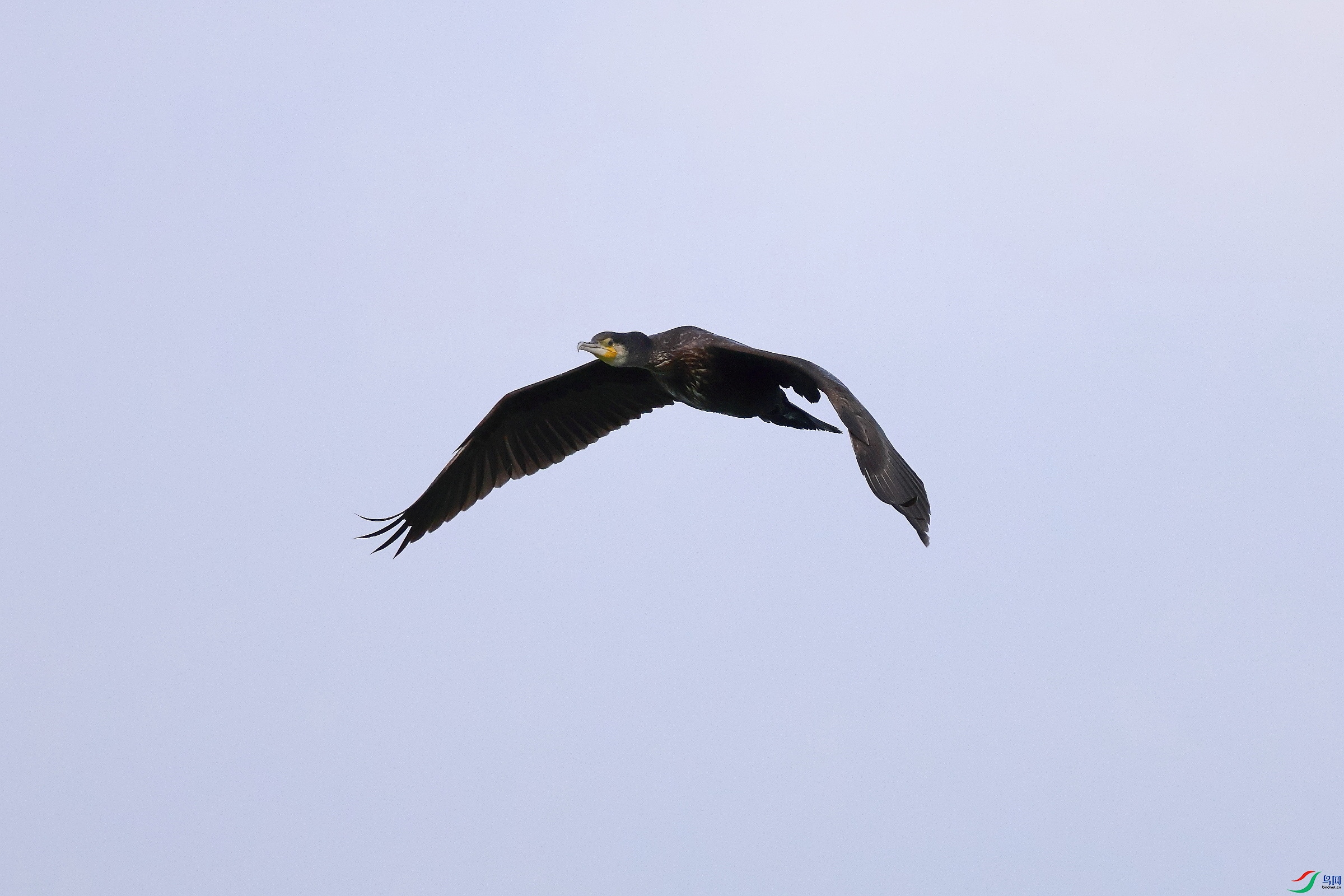 IMG_6965.JPG