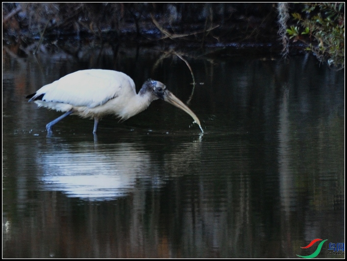 DSC_0023.jpg