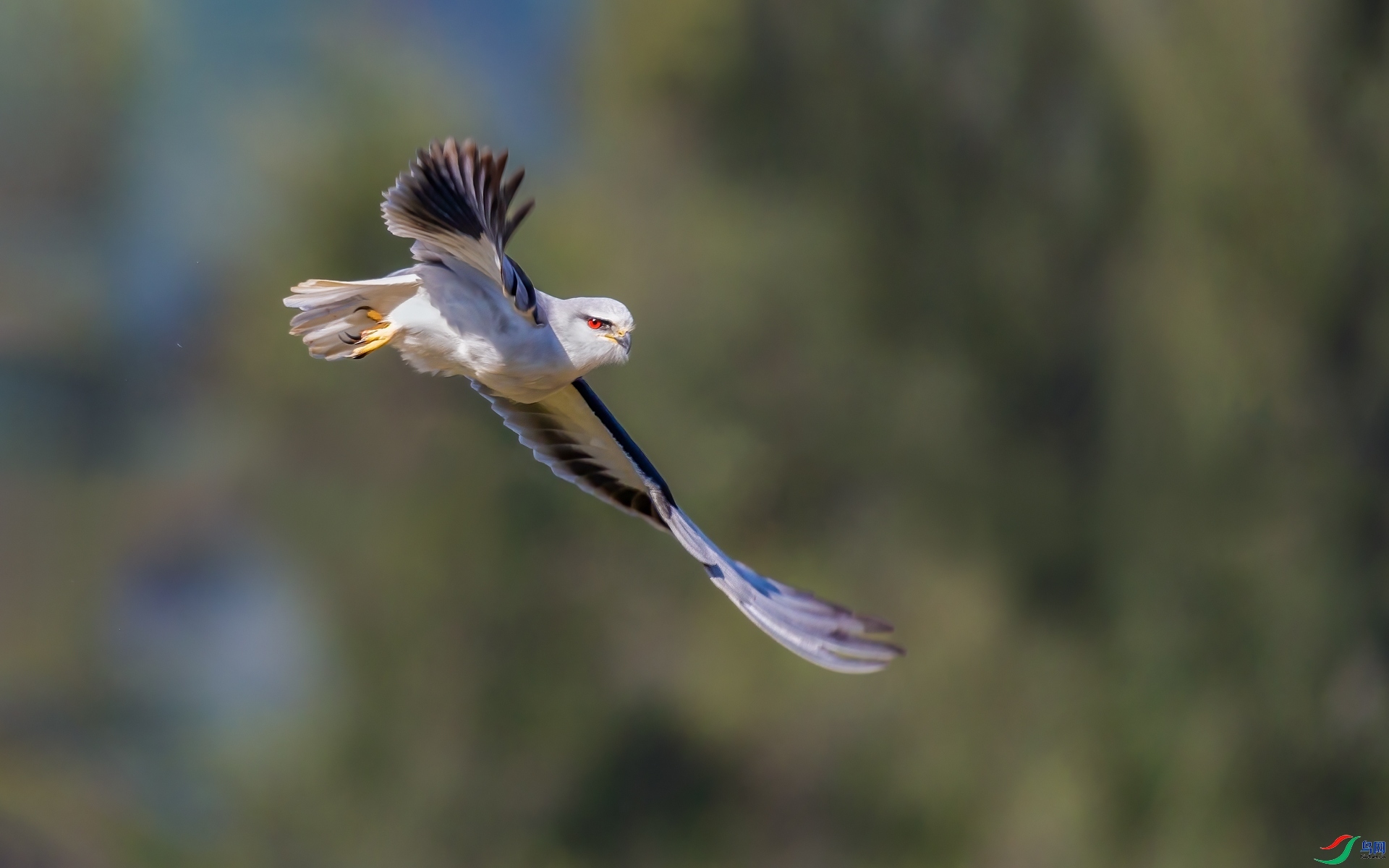 12.4�ƽ�Ҷ��ʦ��Ʒ   �ڳ�𰡪������Ϭ�� ��ף���ٻ����Ѿ�����.jpg