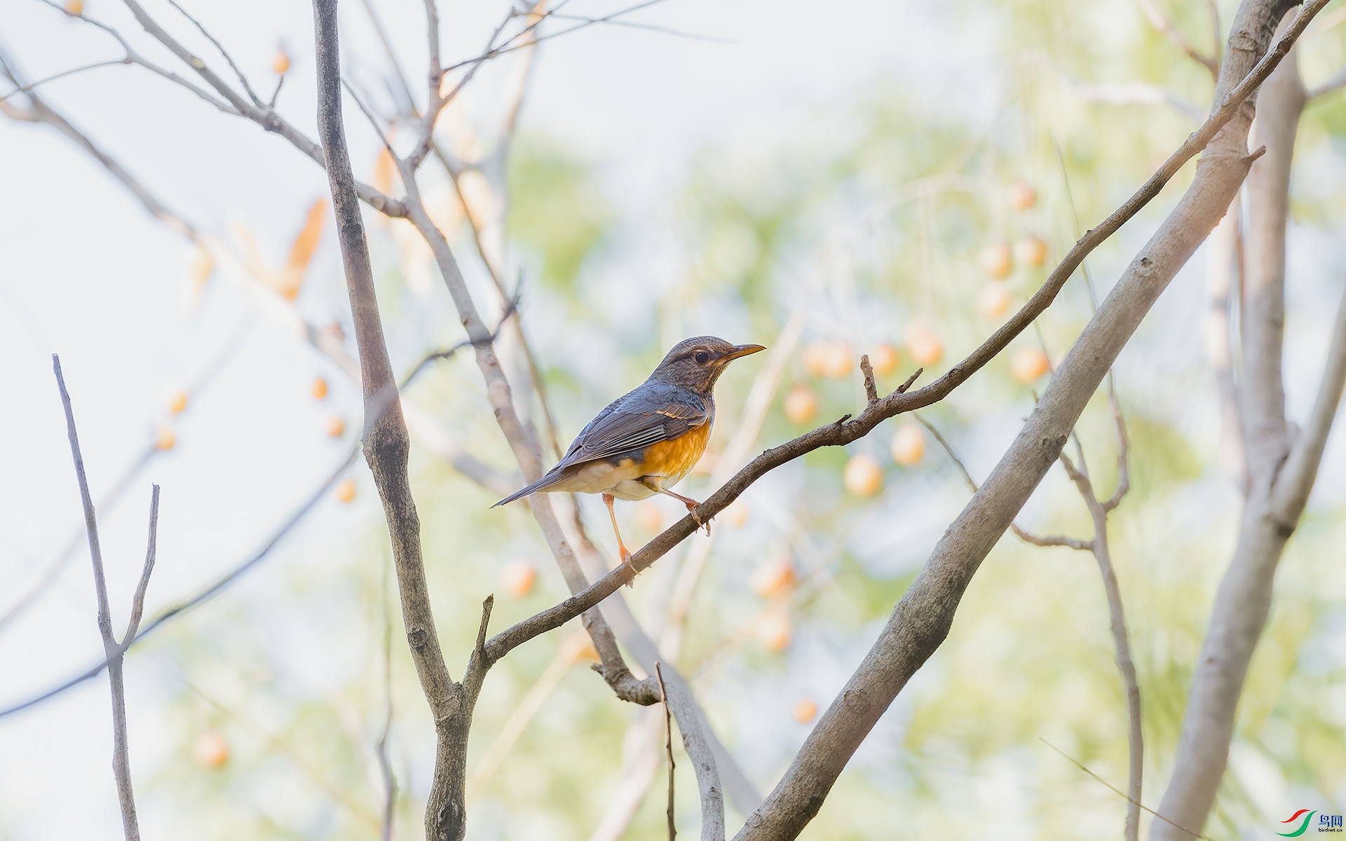 DSC_9016.jpg