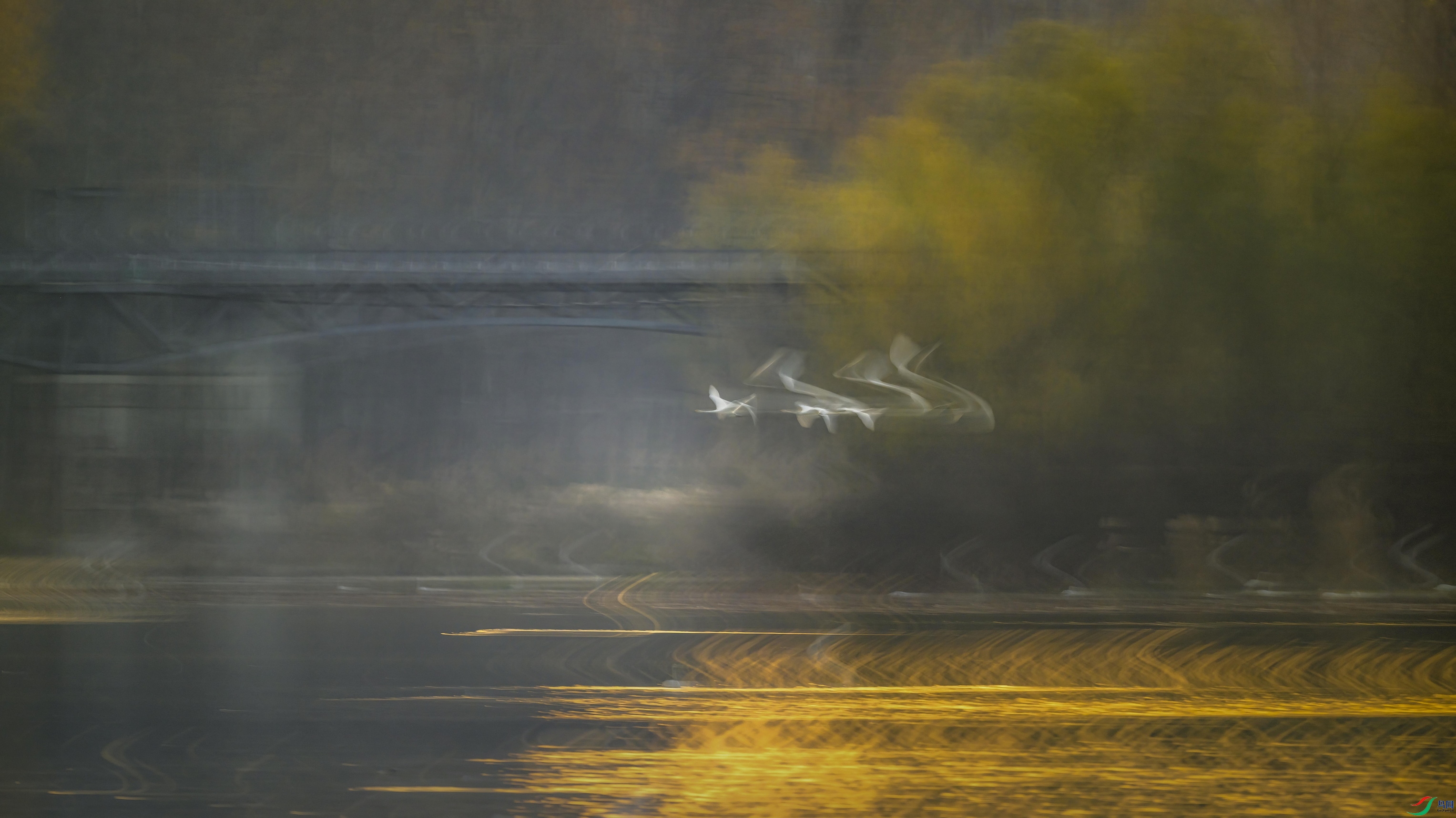 DSC_1155 ����2 ����F003.jpg