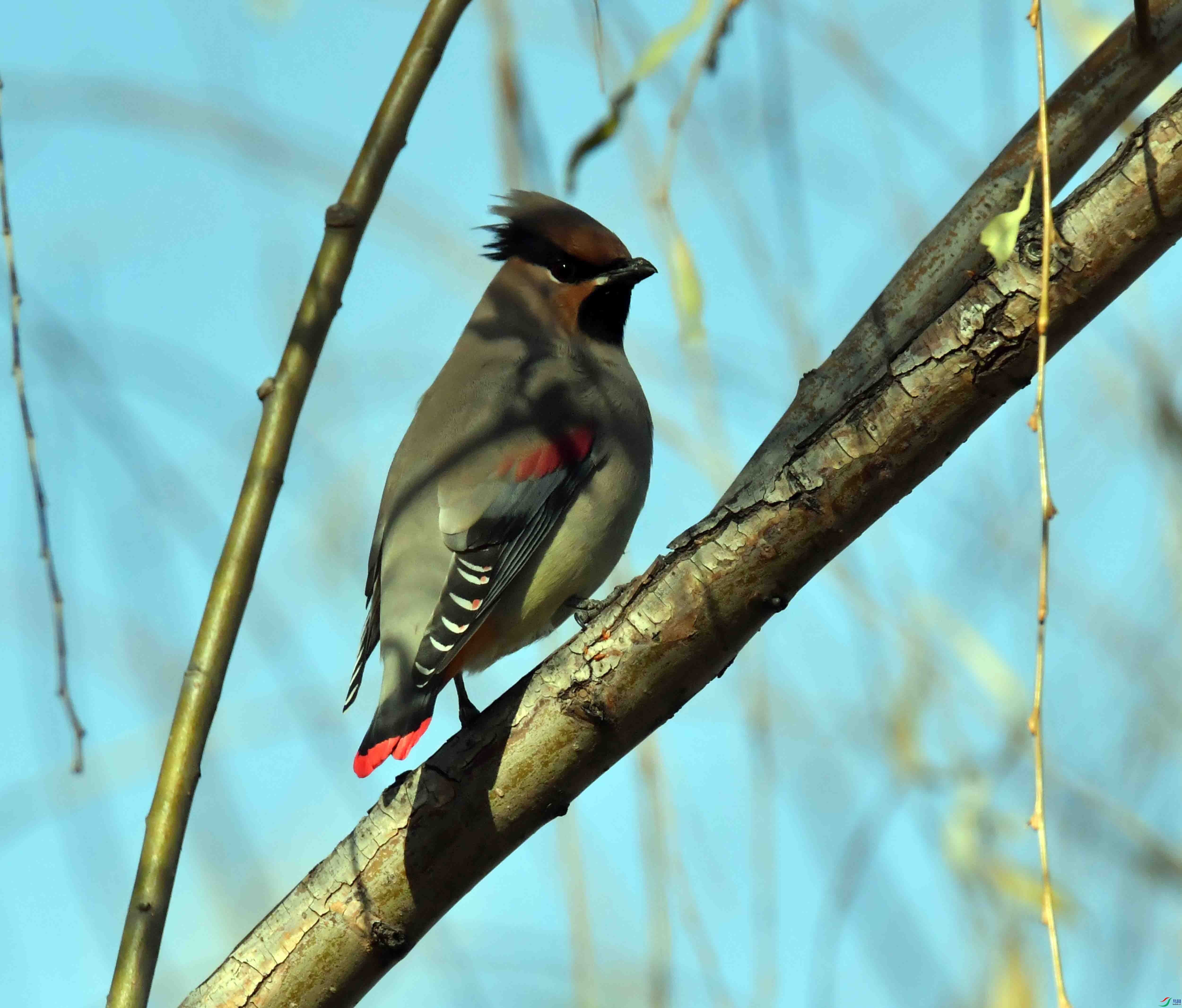 DSC_8826.JPG