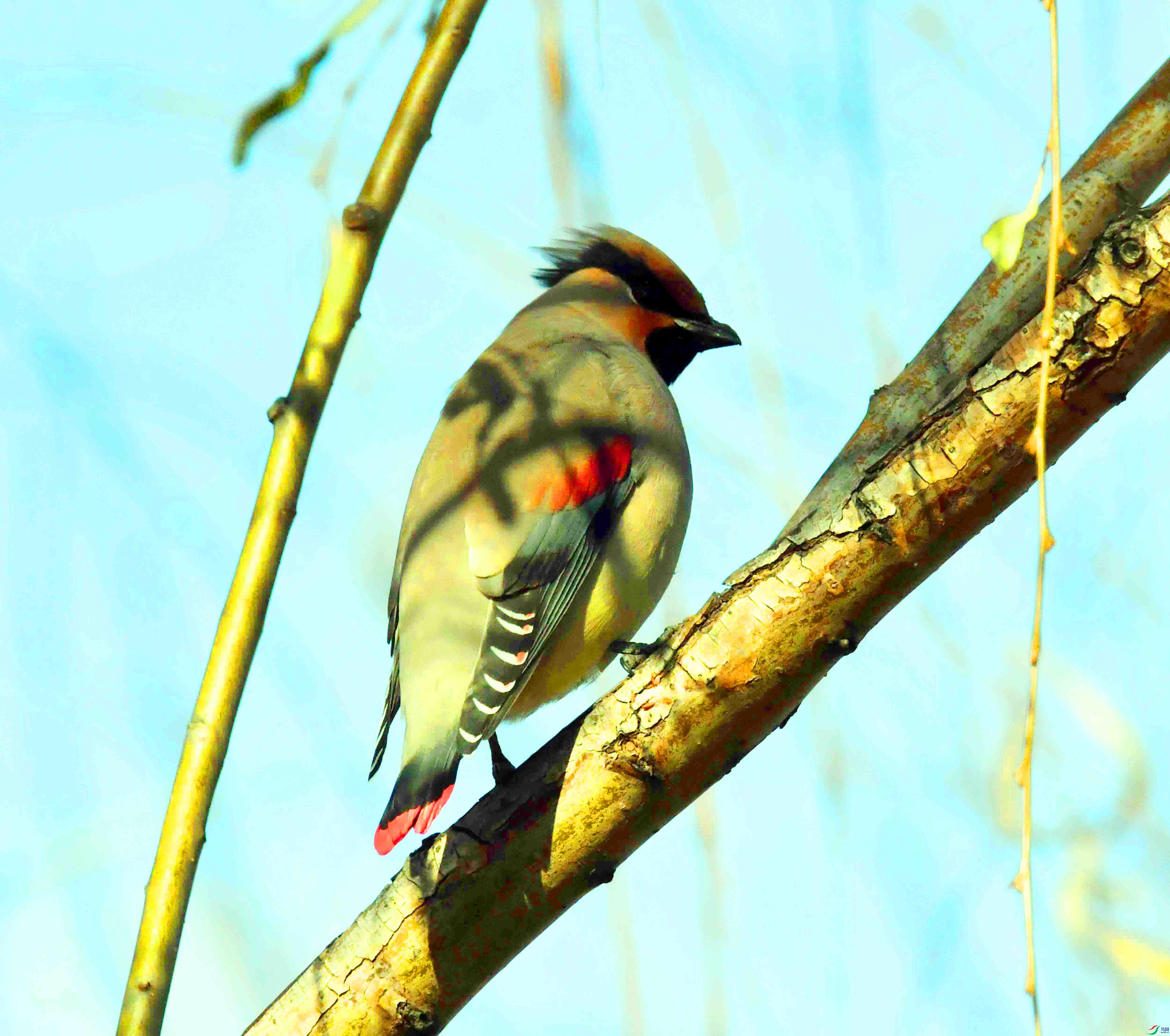 DSC_8835.JPG