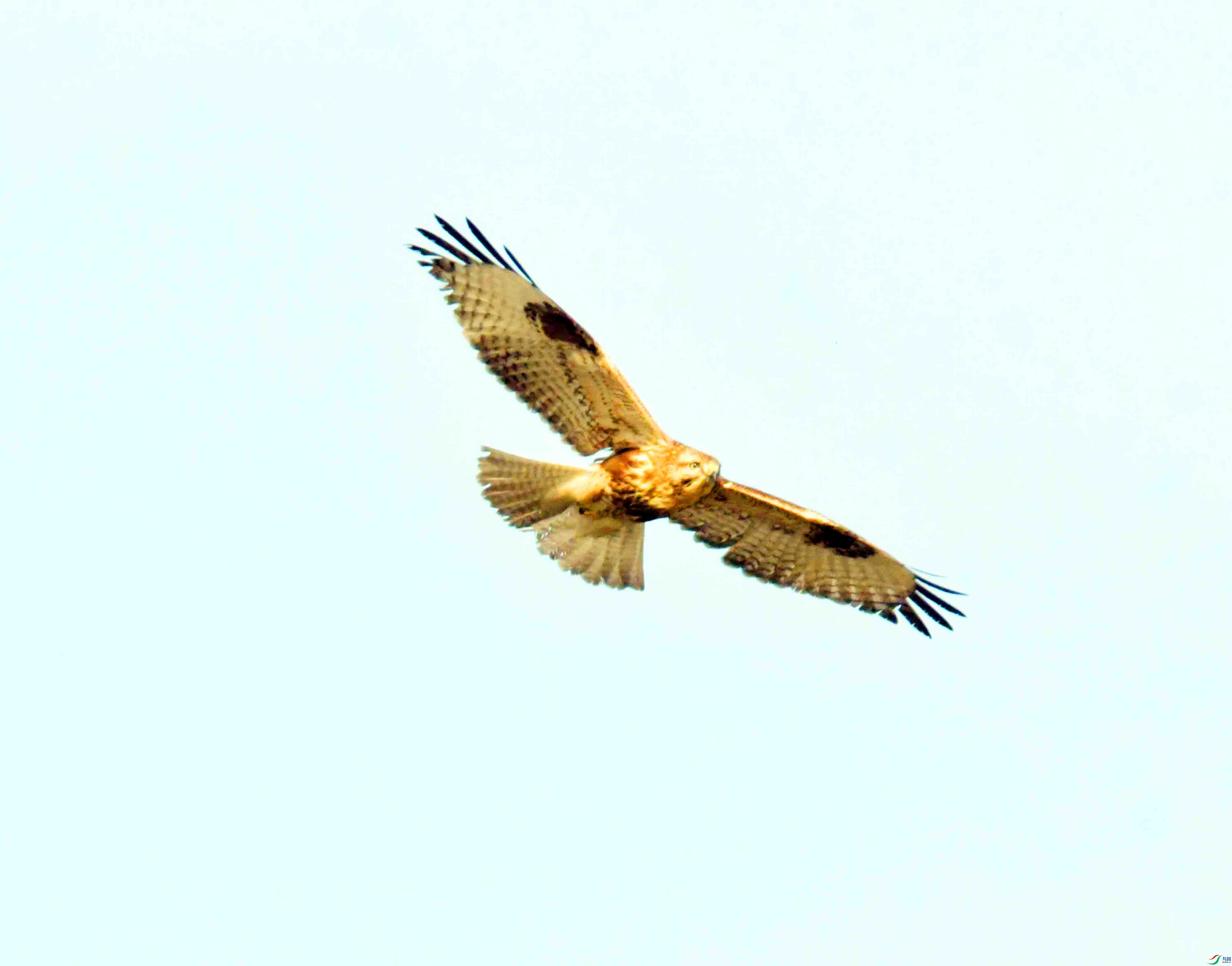 DSC_3757.JPG