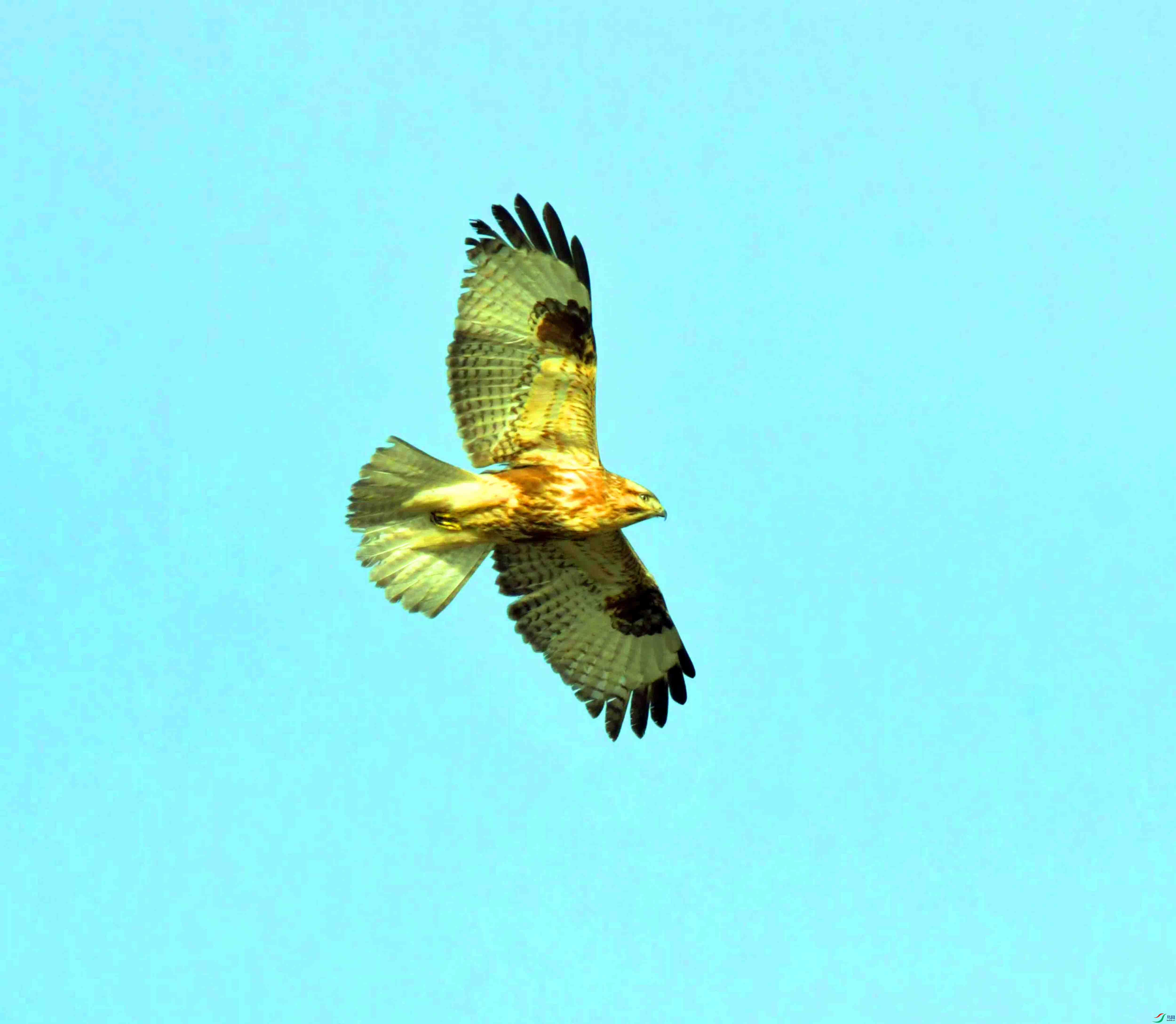 DSC_3759.JPG
