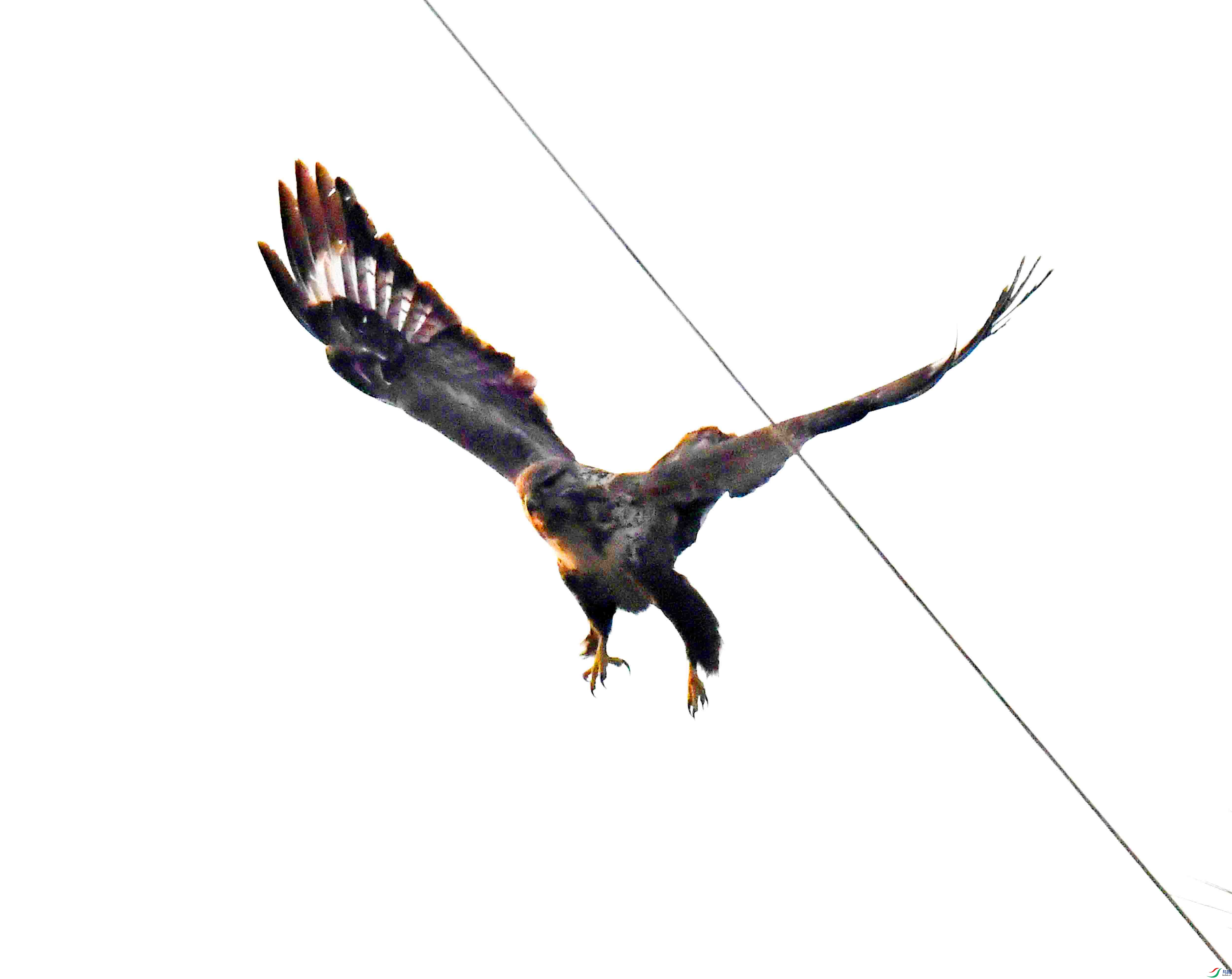 DSC_5044.JPG