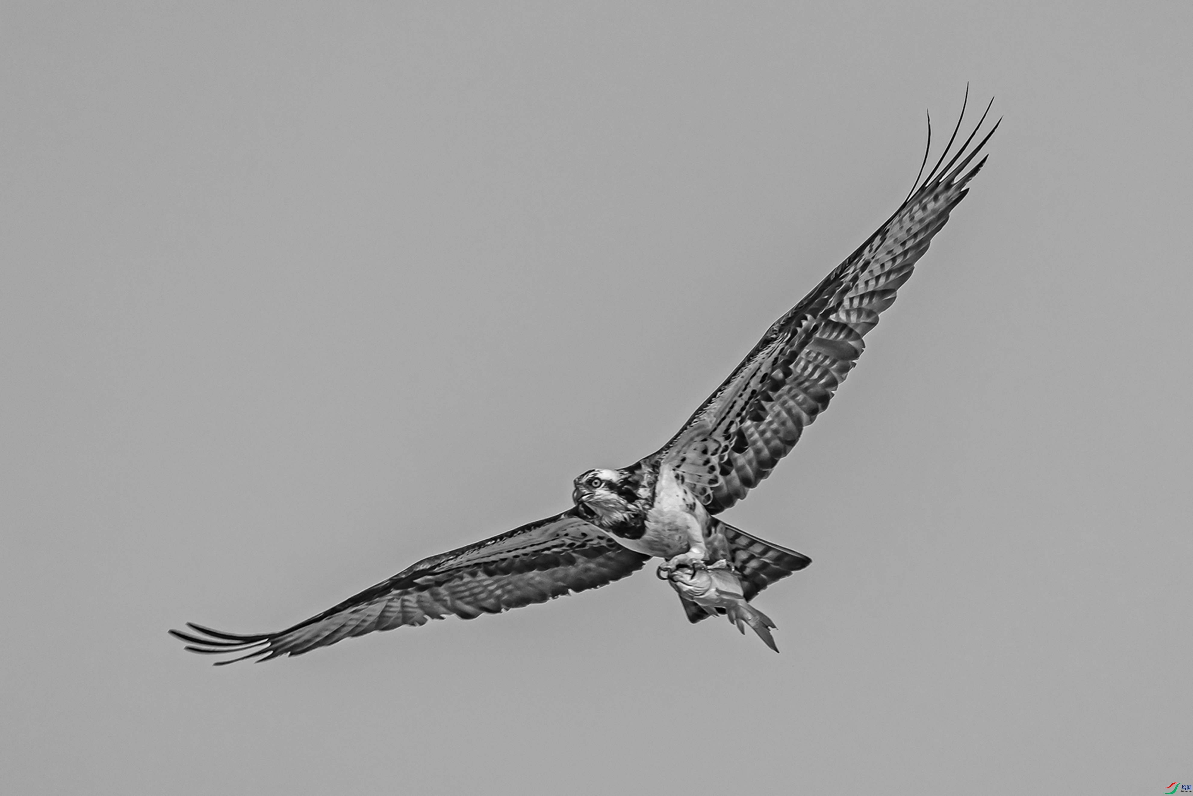 4N5A5497.jpg