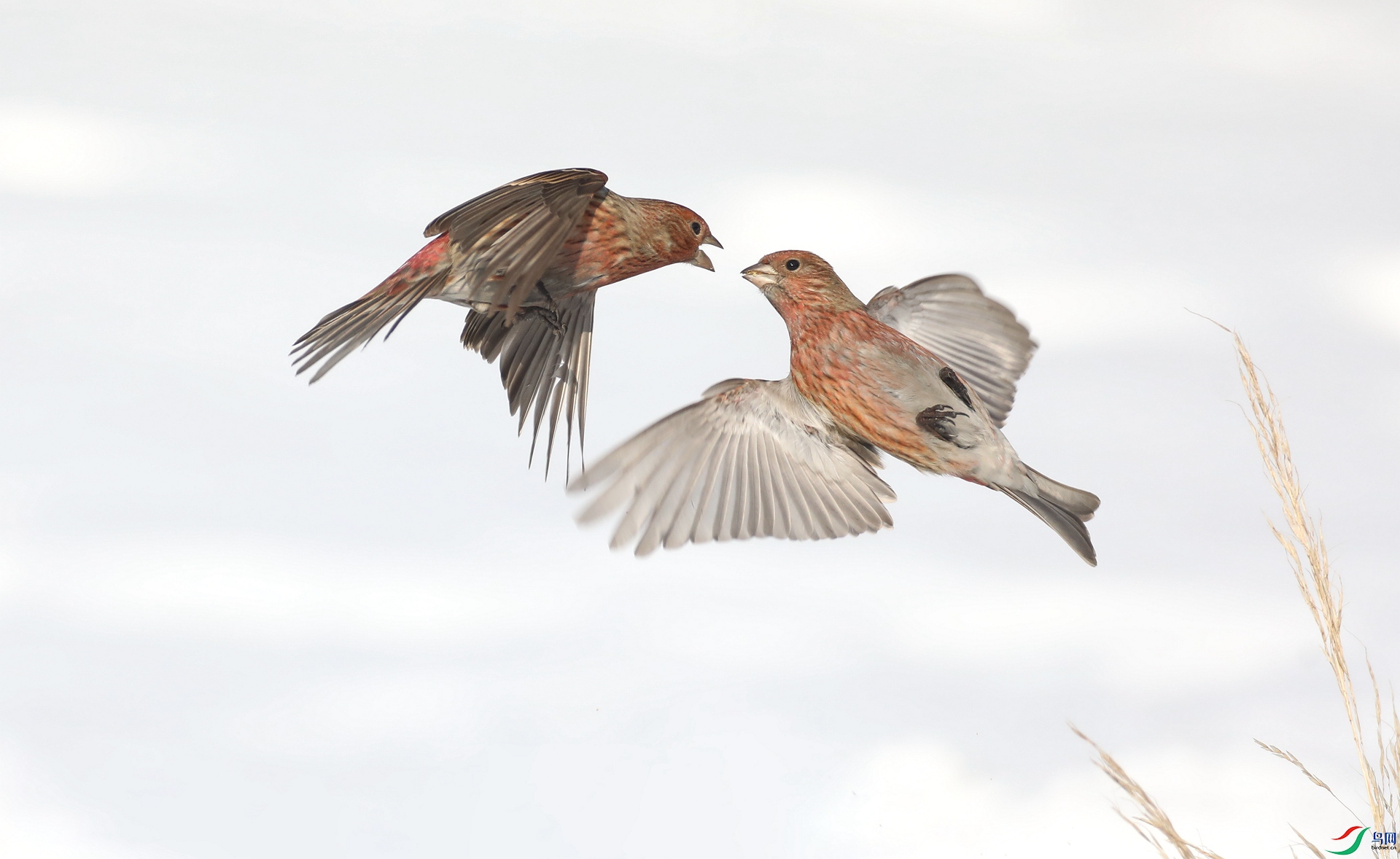 9G8A8550 ����.jpg