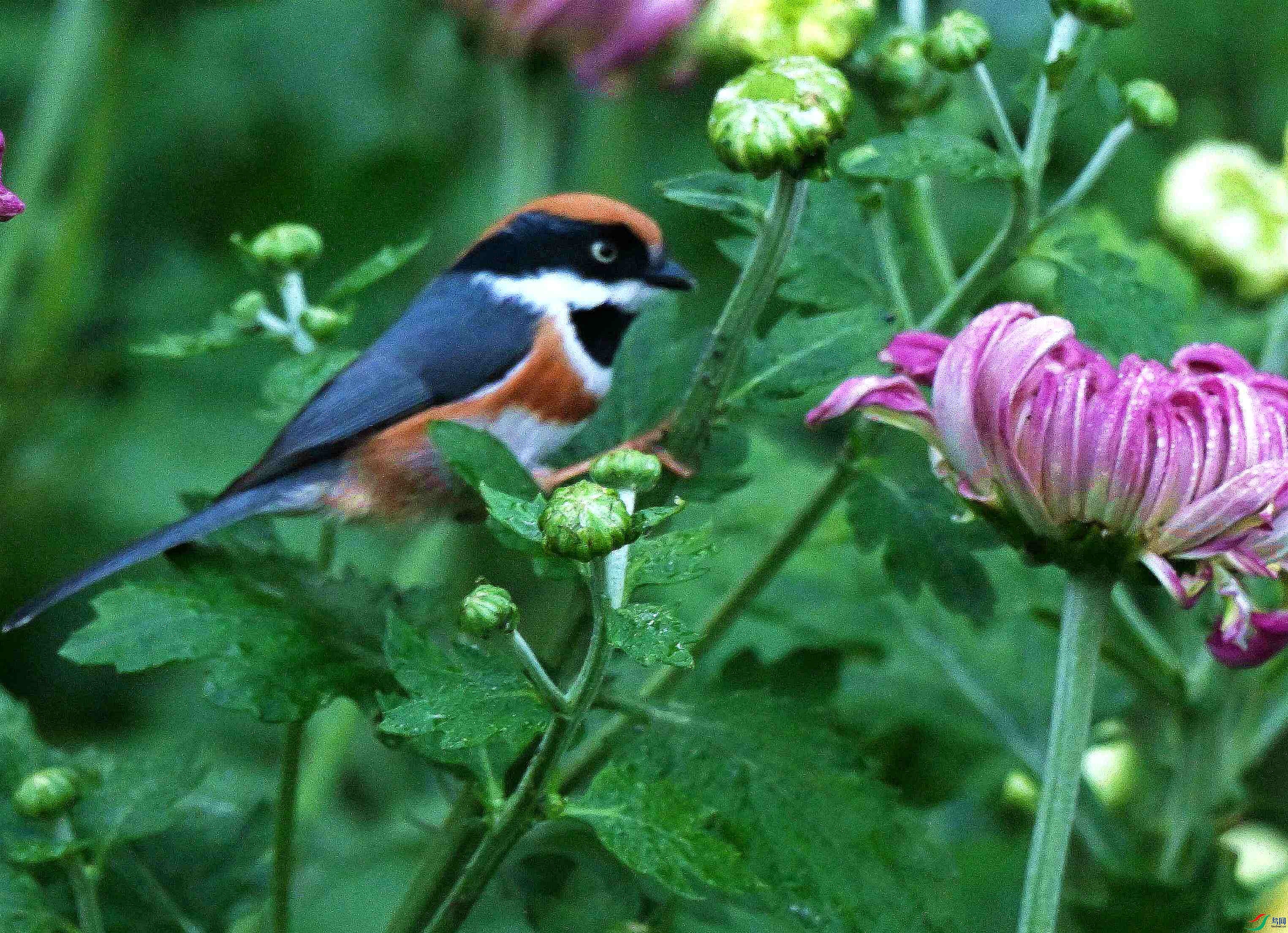 DSC_3401.jpg