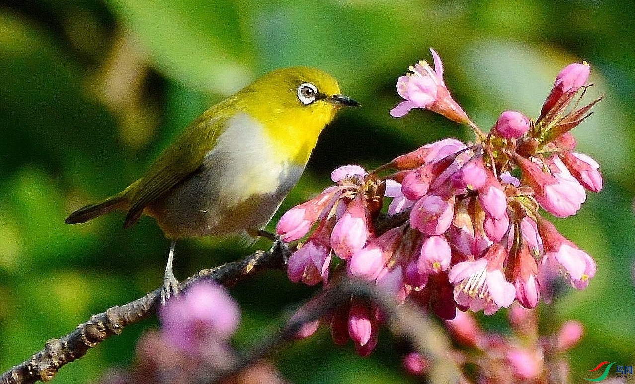 DSC_6214.JPG
